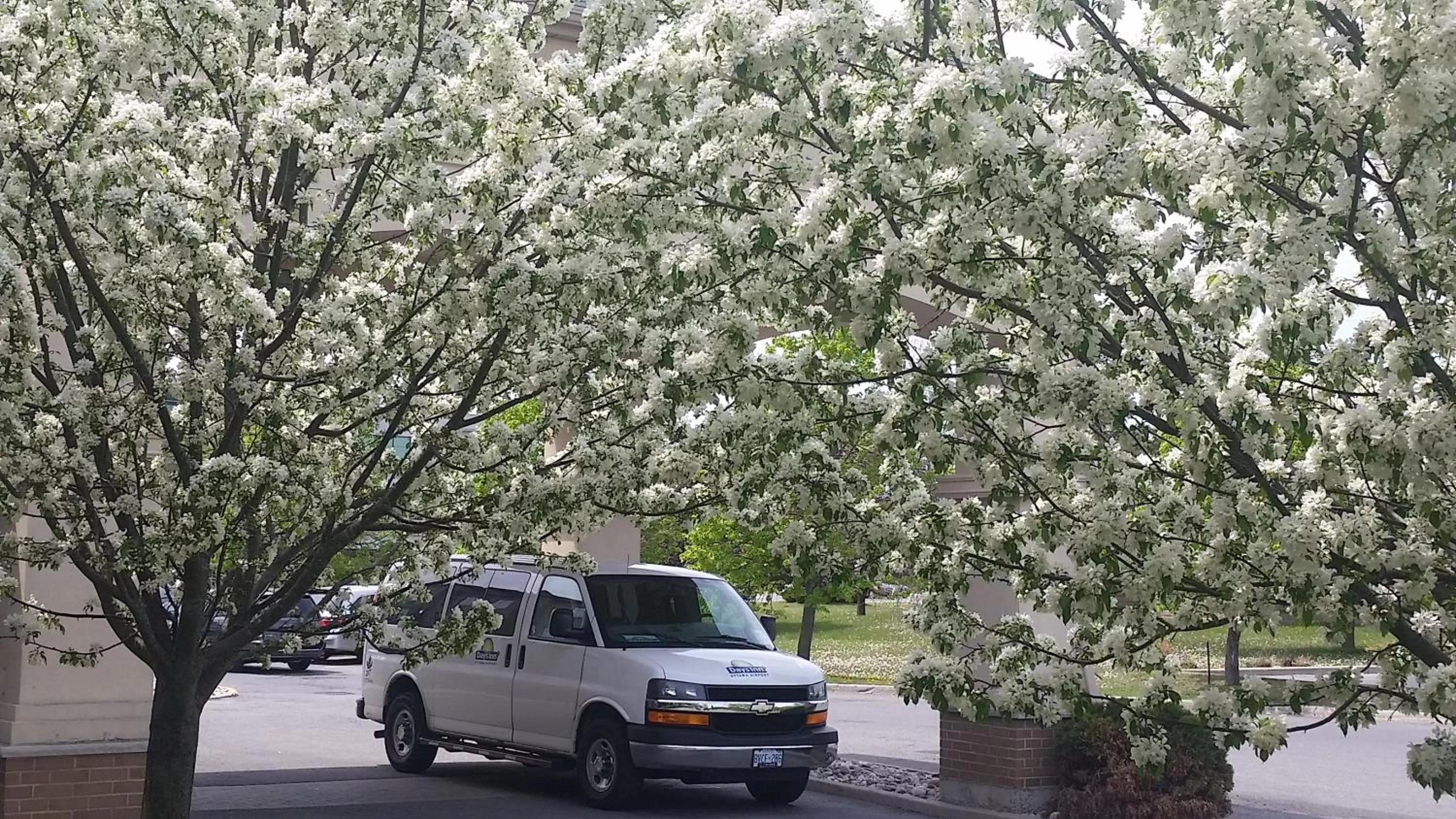 Decorative detail in Days Inn by Wyndham Ottawa Airport