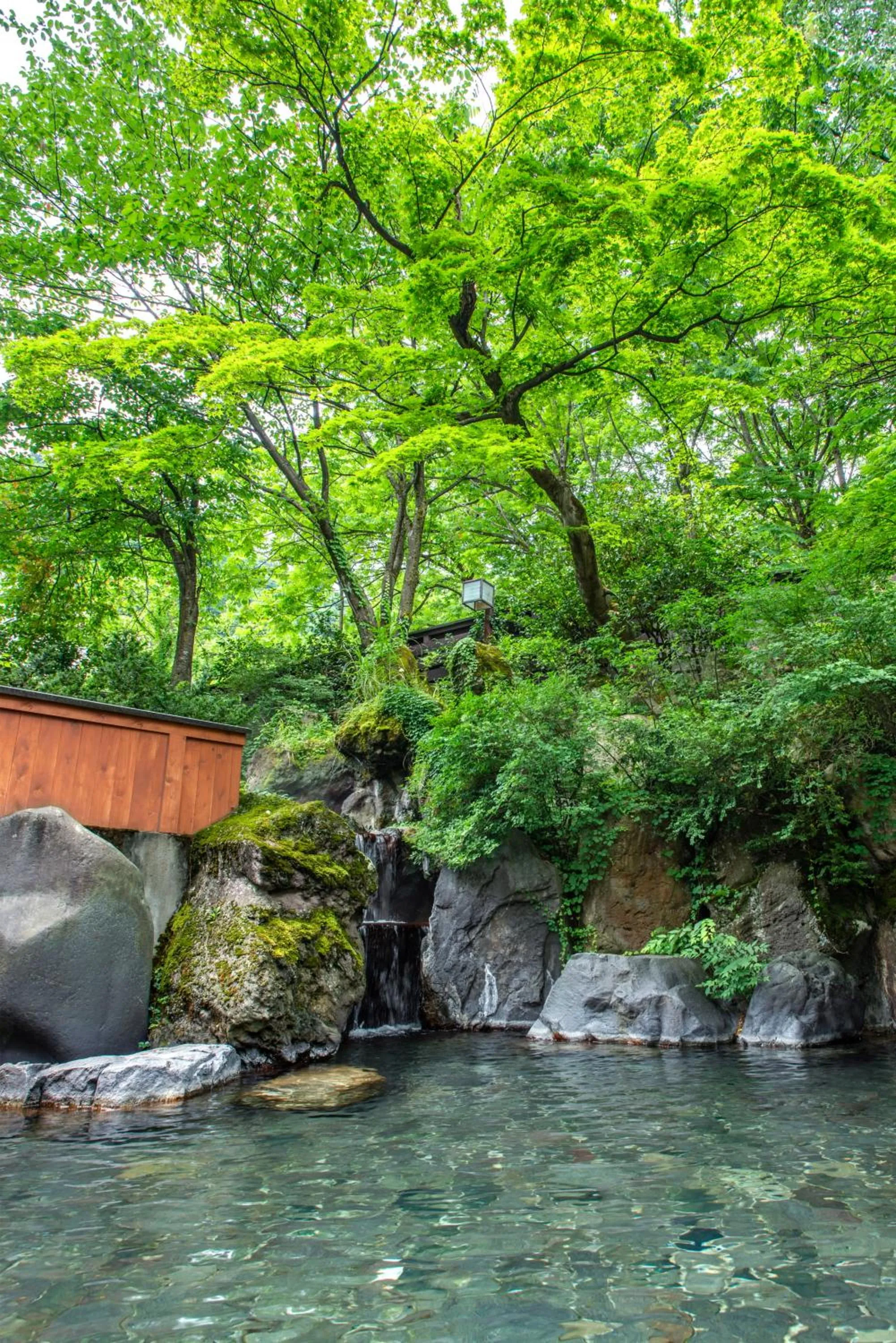 Natural landscape in Yuzawa Toei Hotel
