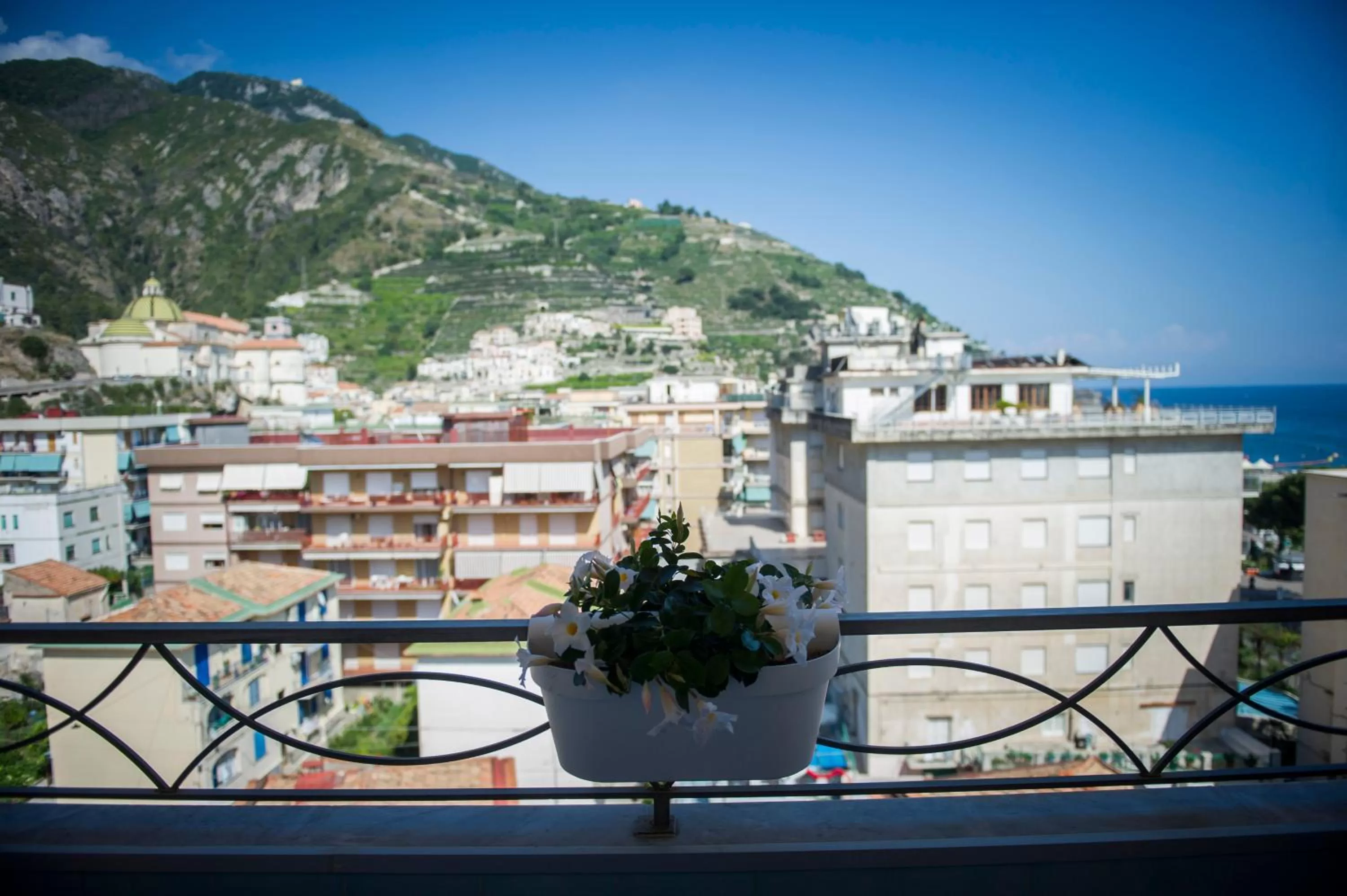 Natural landscape in Residence Panoramic