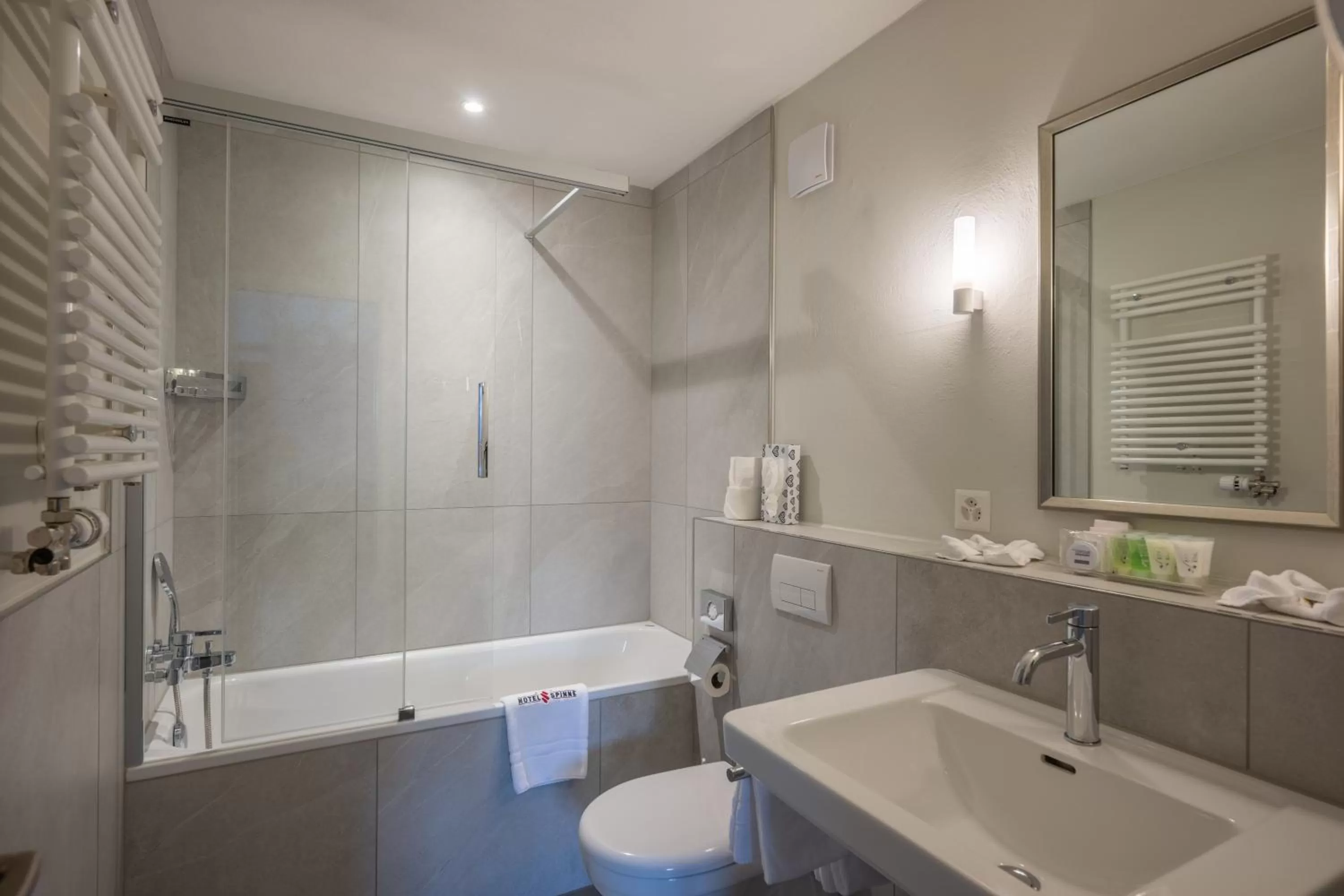 Bathroom in Hotel Spinne Grindelwald