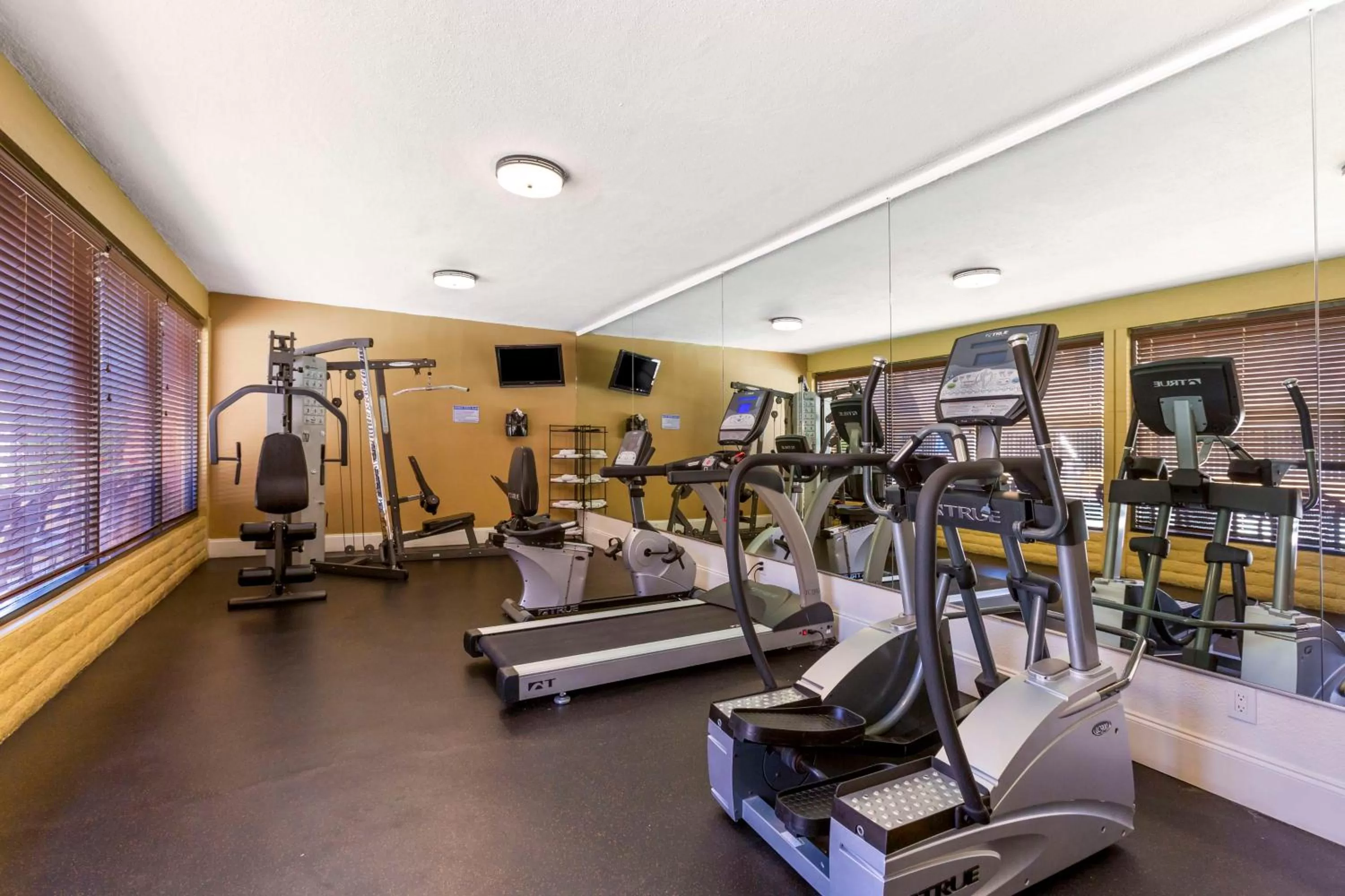 Fitness centre/facilities in Royal Sun Inn & Suites