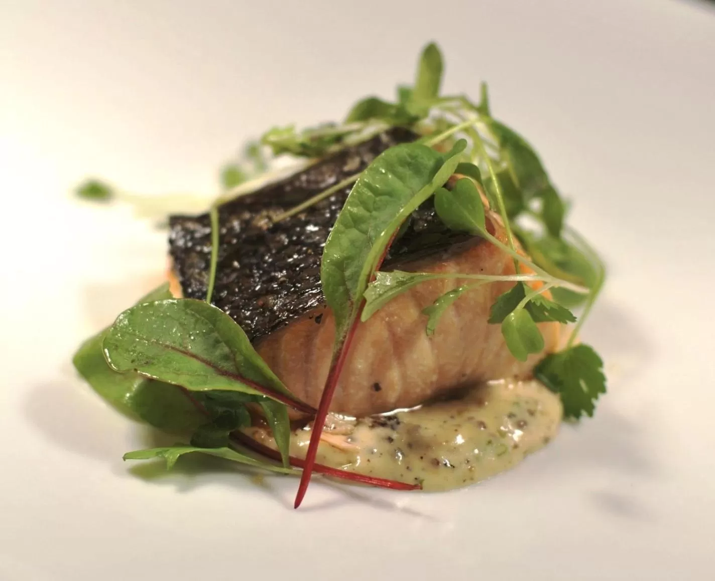 Food and drinks in Redesdale Arms Hotel