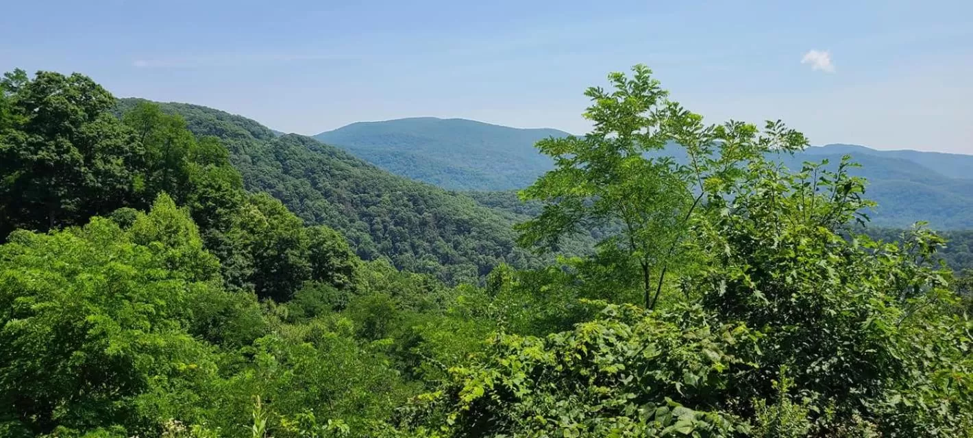 Mountain View in Dragon City