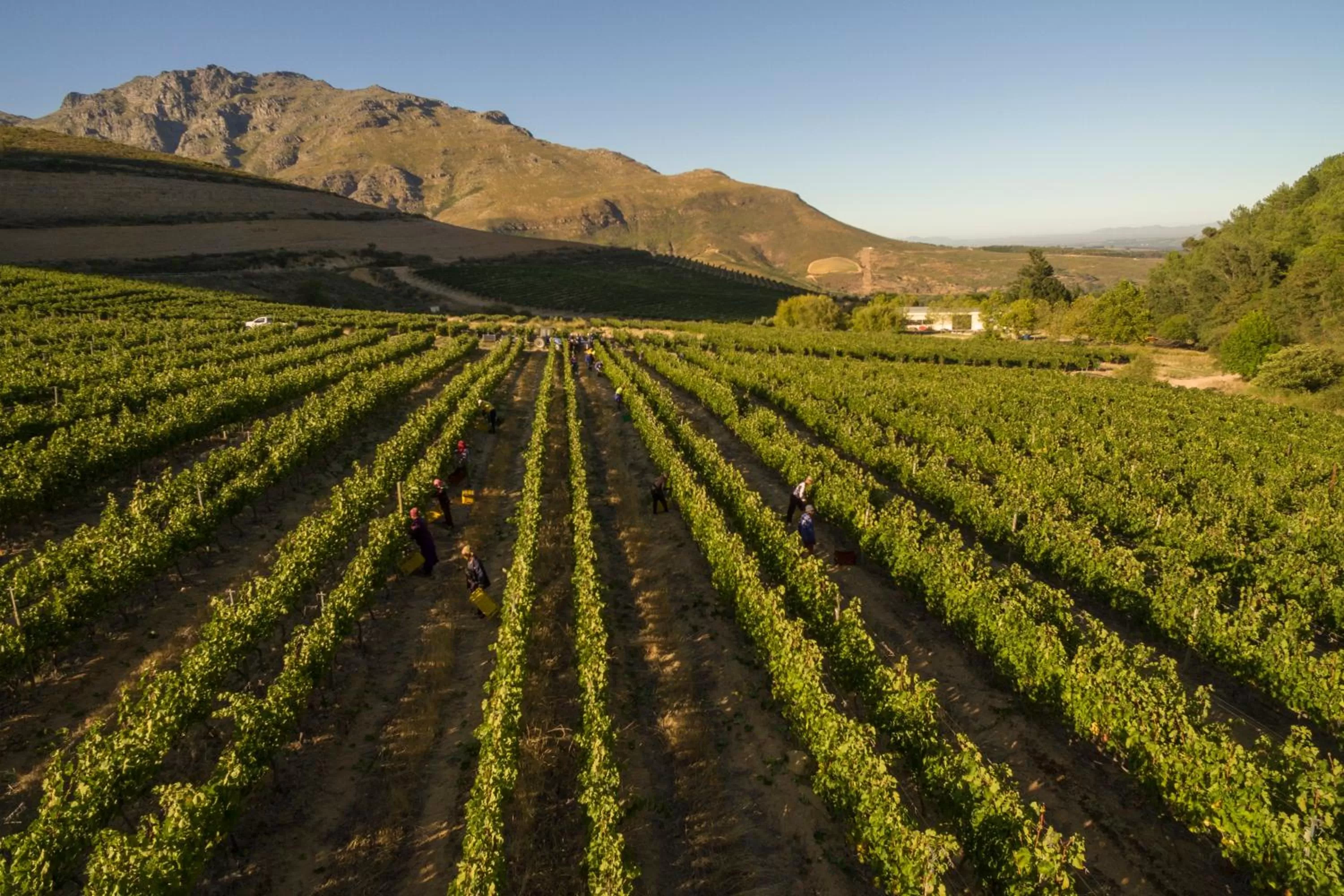 Mountain view in Lanzerac Hotel & Spa