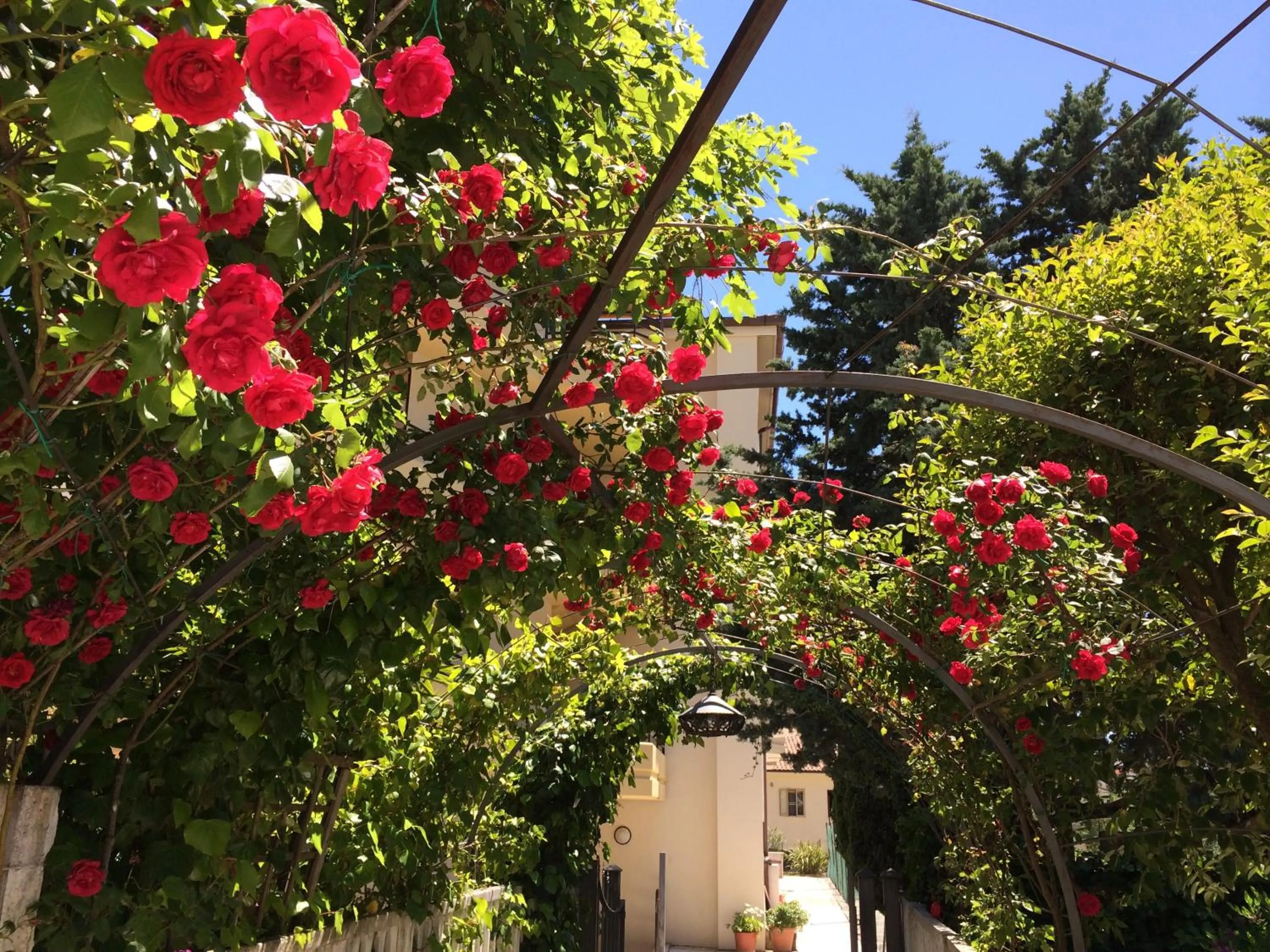 Spring in Hotel Parco Delle Rose