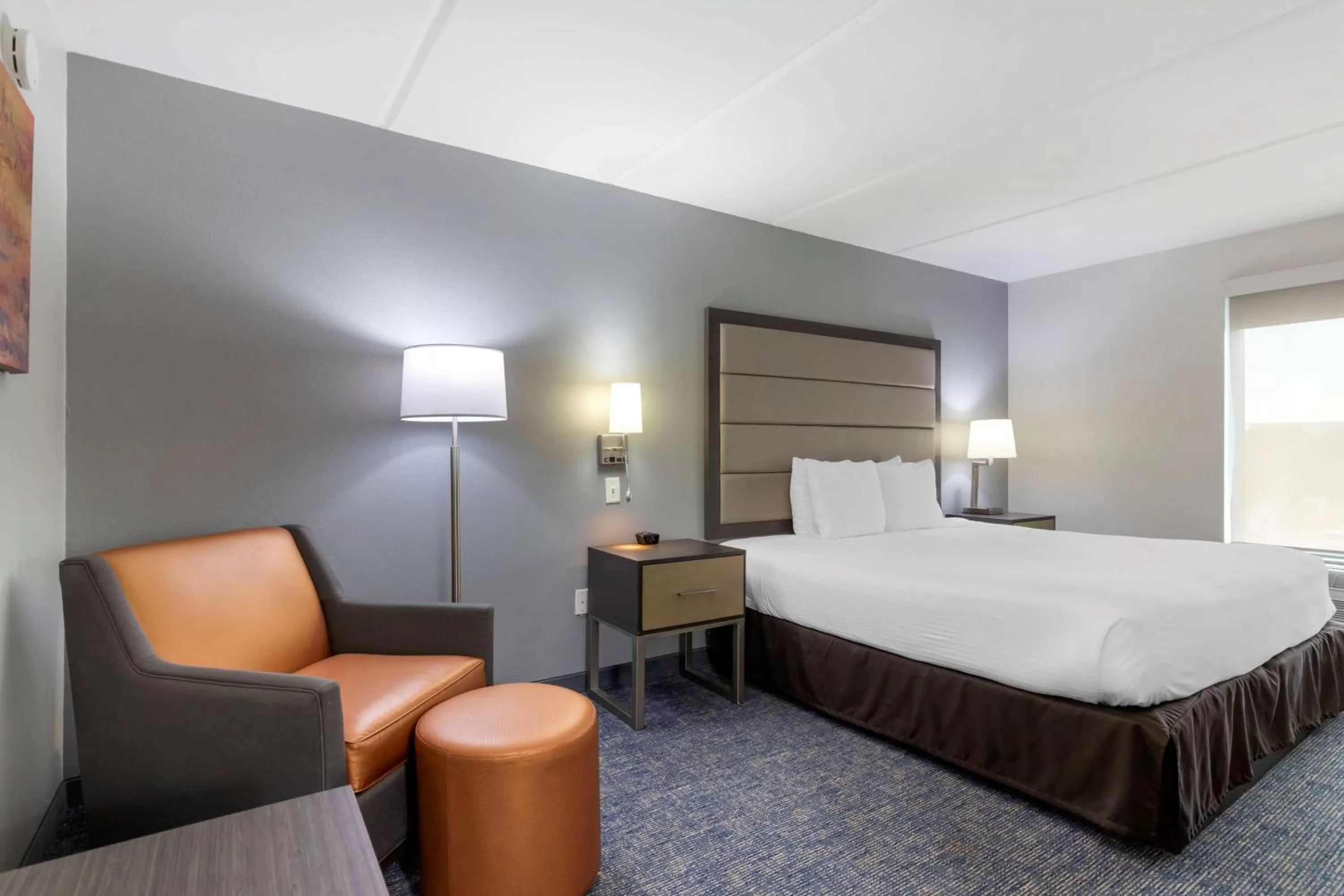 Bedroom, Bed in Best Western Plus McAllen Airport Hotel