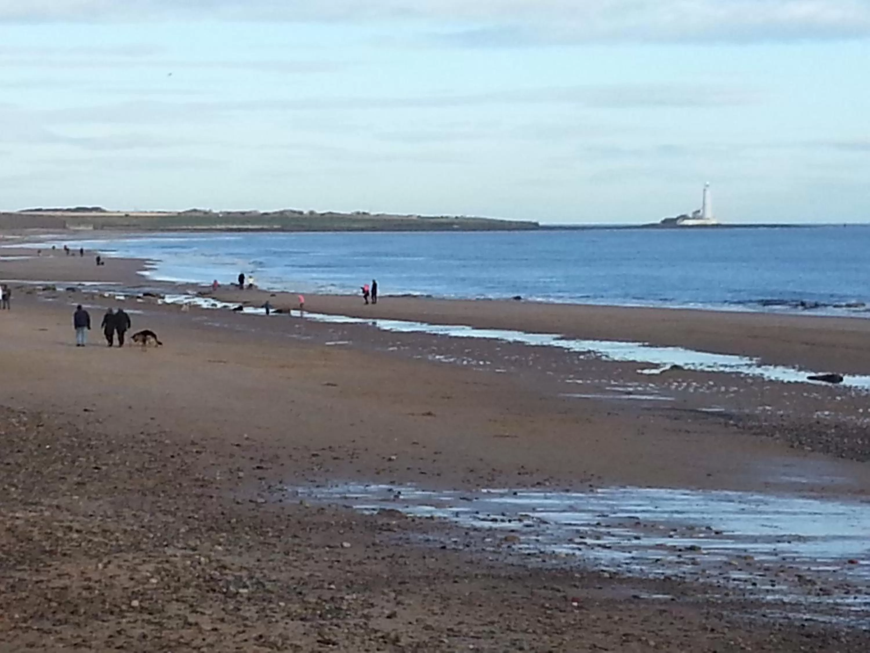 View (from property/room) in The Windsor Hotel