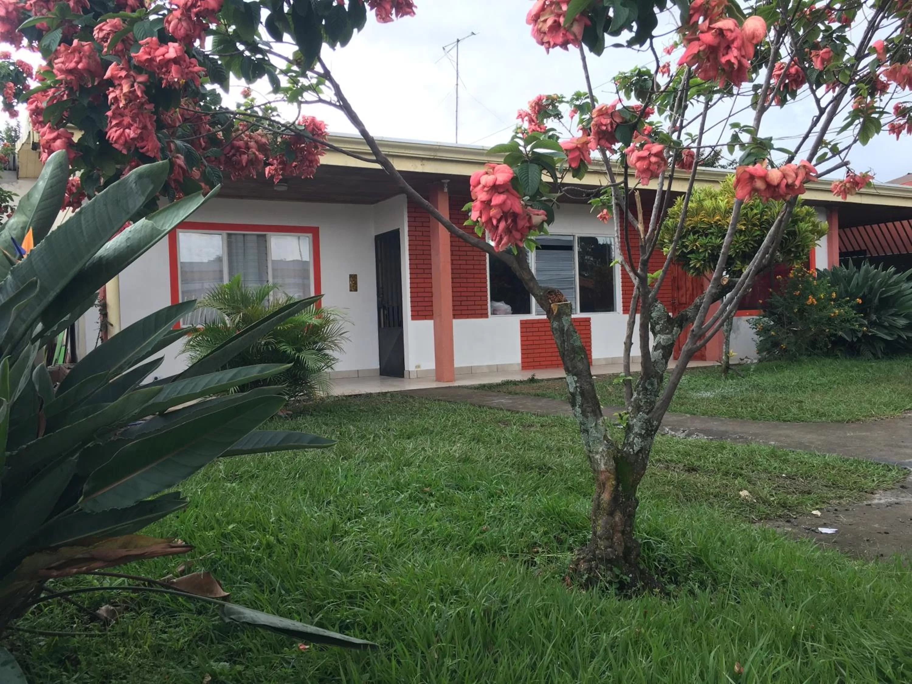 Street view, Garden in Hotel Your House