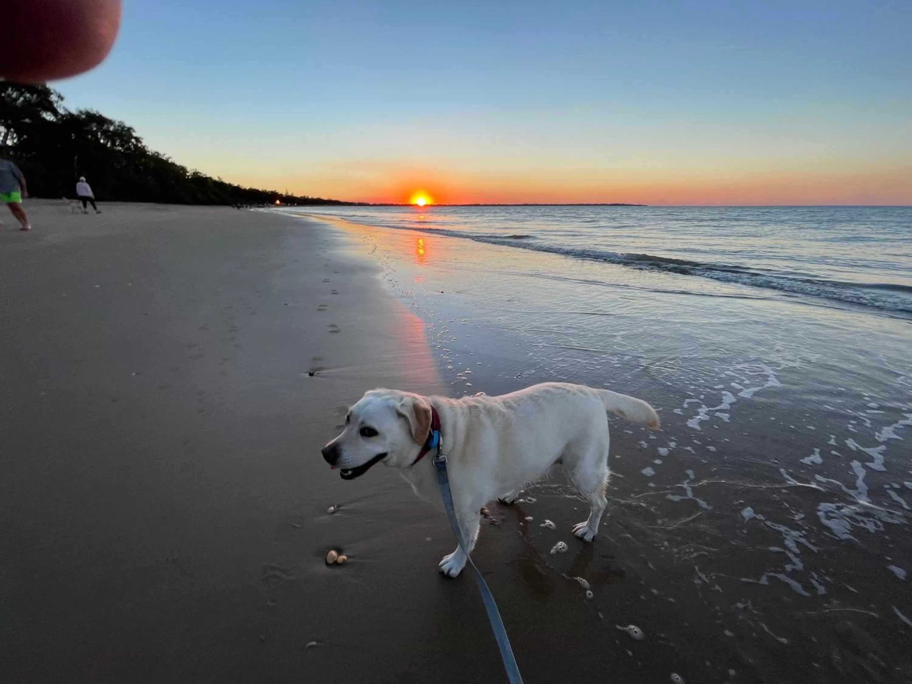 Sunset in Torquay Terrace Bed & Breakfast