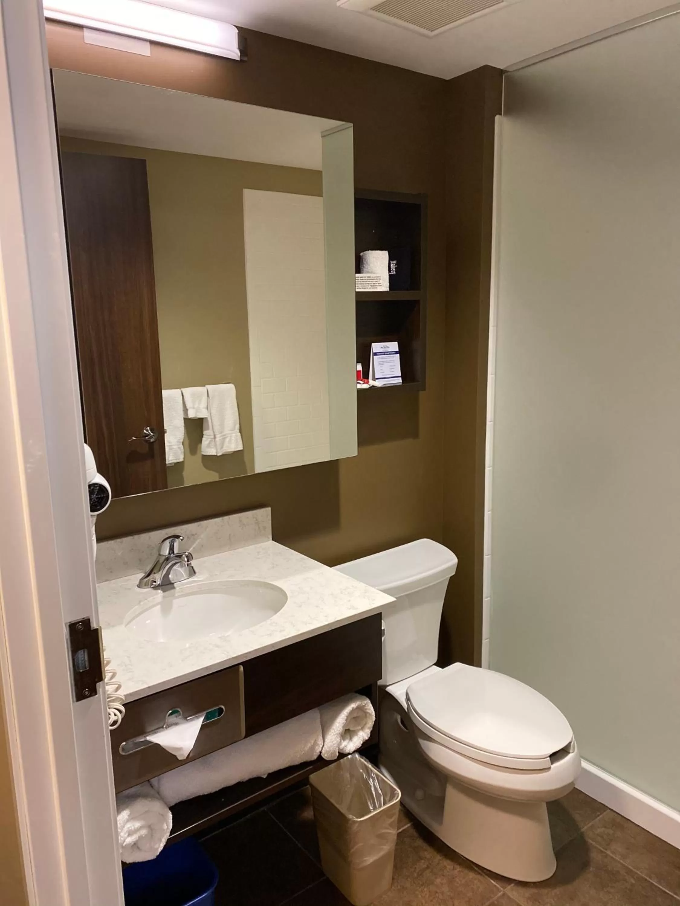 Bathroom in Microtel Inn & Suites by Wyndham - Timmins