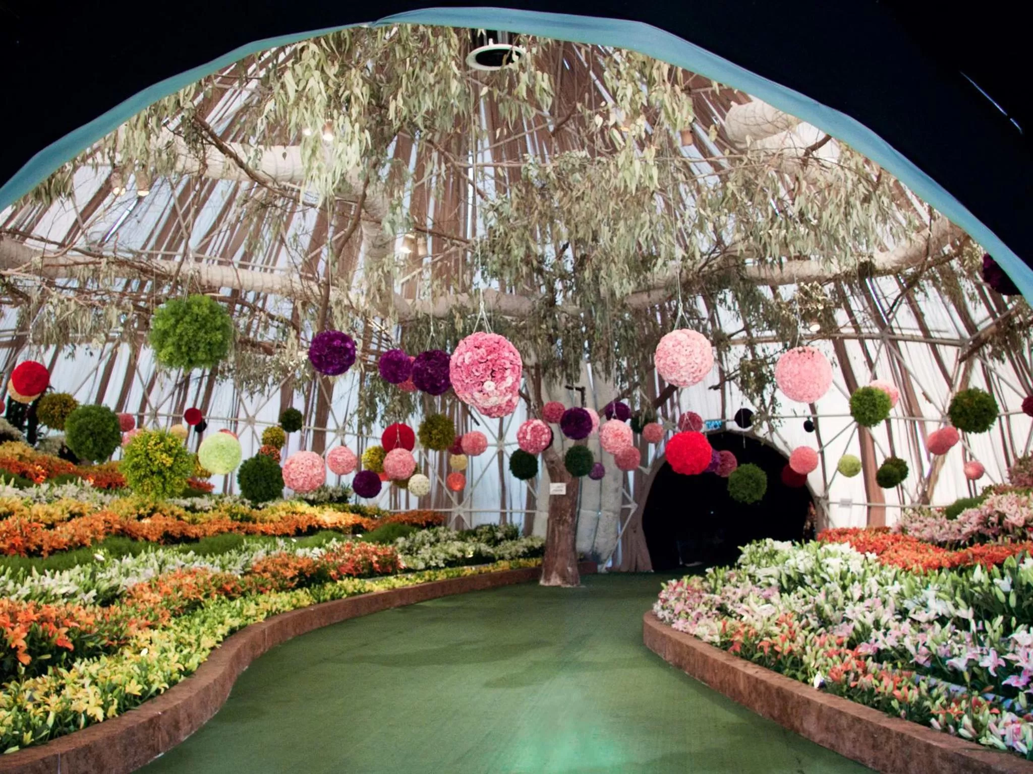 Area and facilities in Dan Carmel Haifa