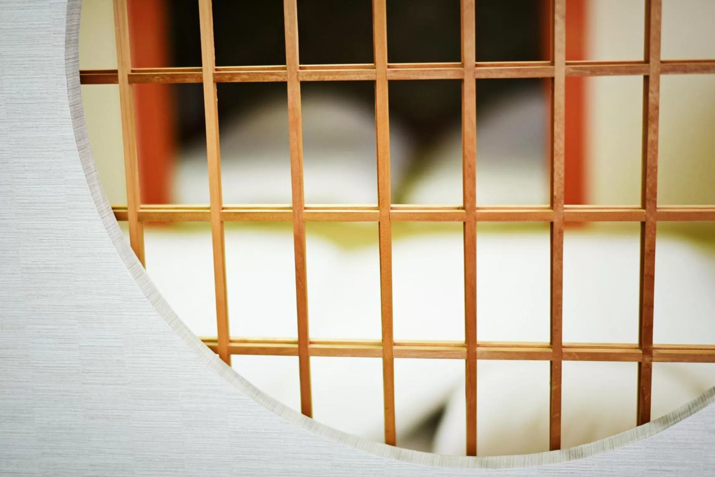 Other in Hostel PLEASURE MARUYAMA