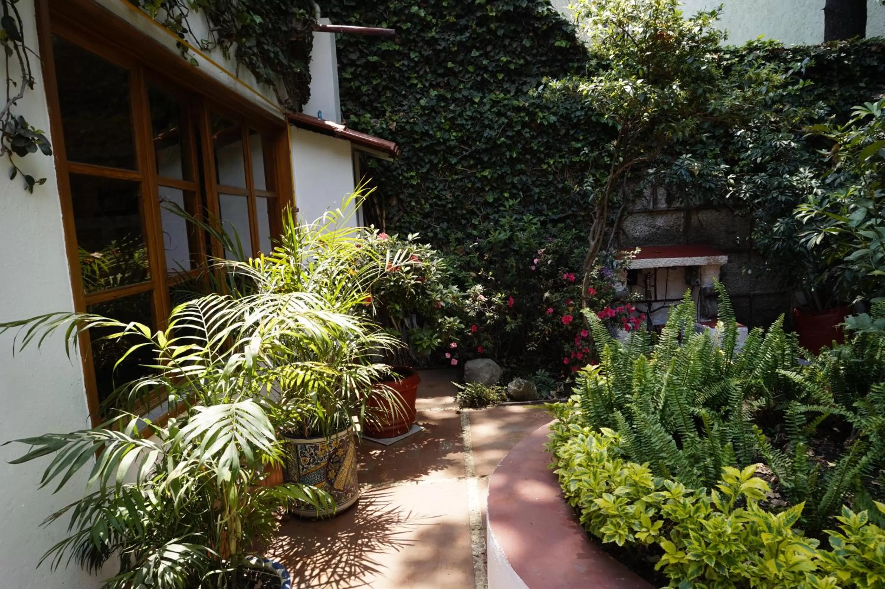 Spring in Casa Jacinta Guest House
