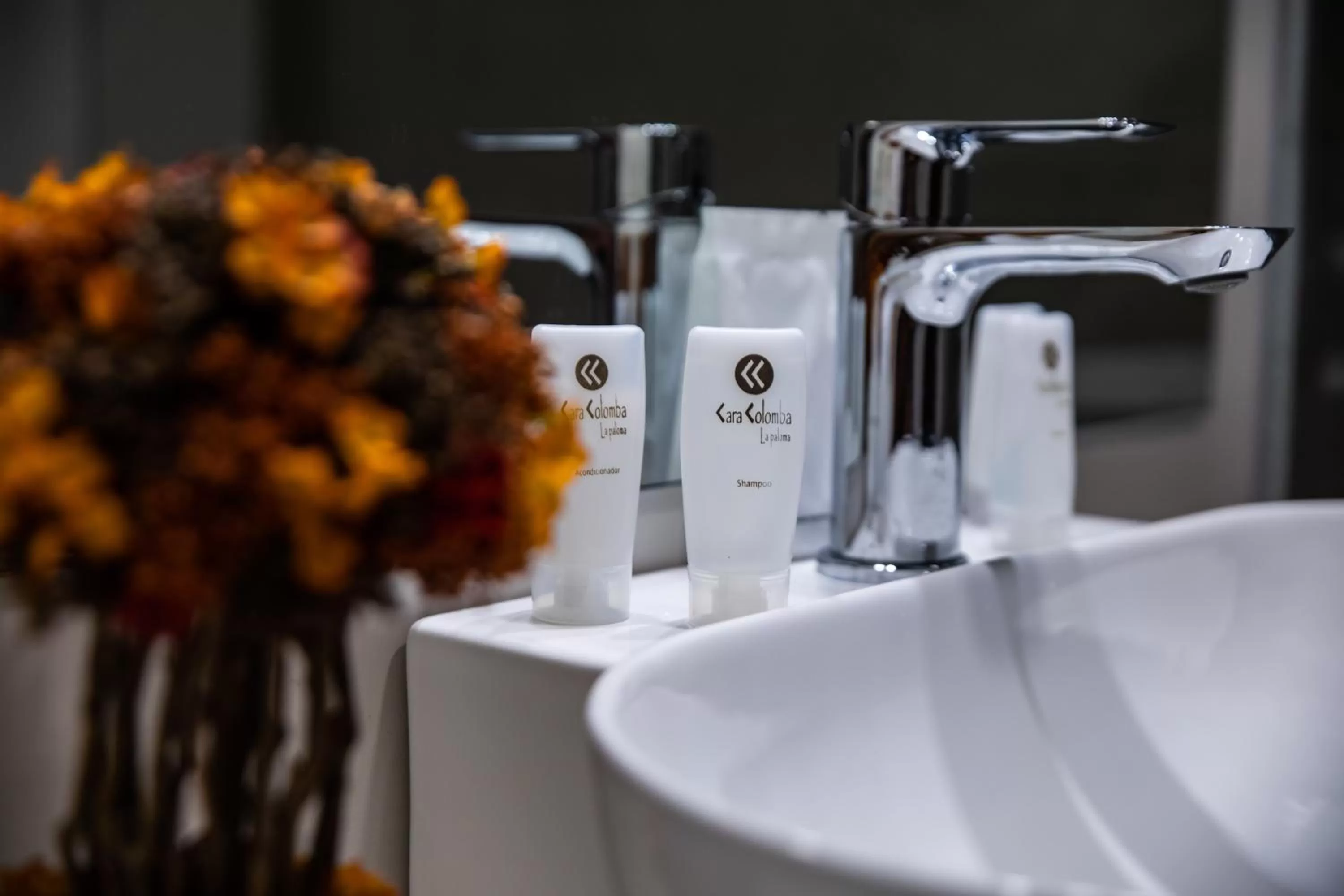 Bathroom in Cara Colomba