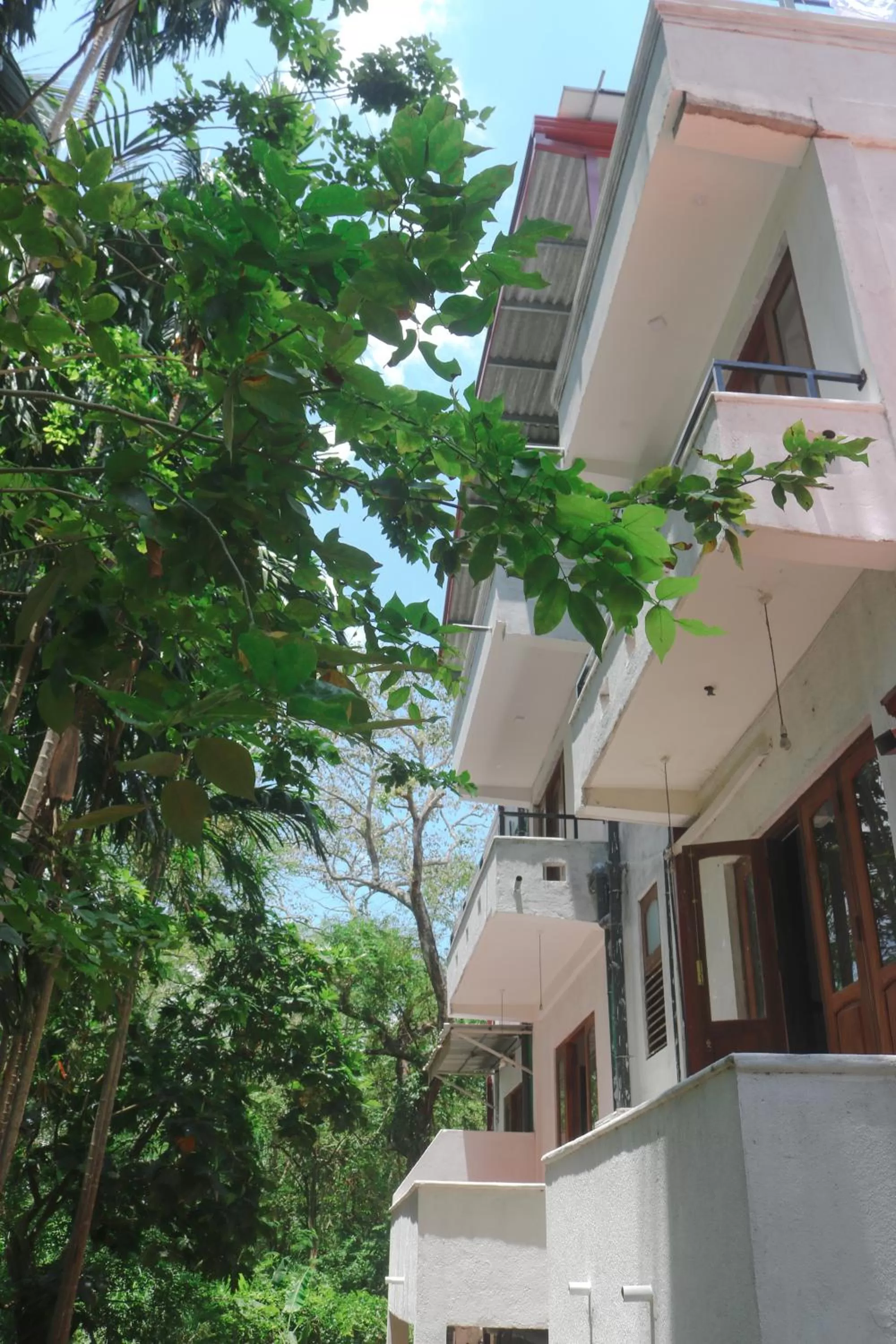 Garden view in Divine Villa