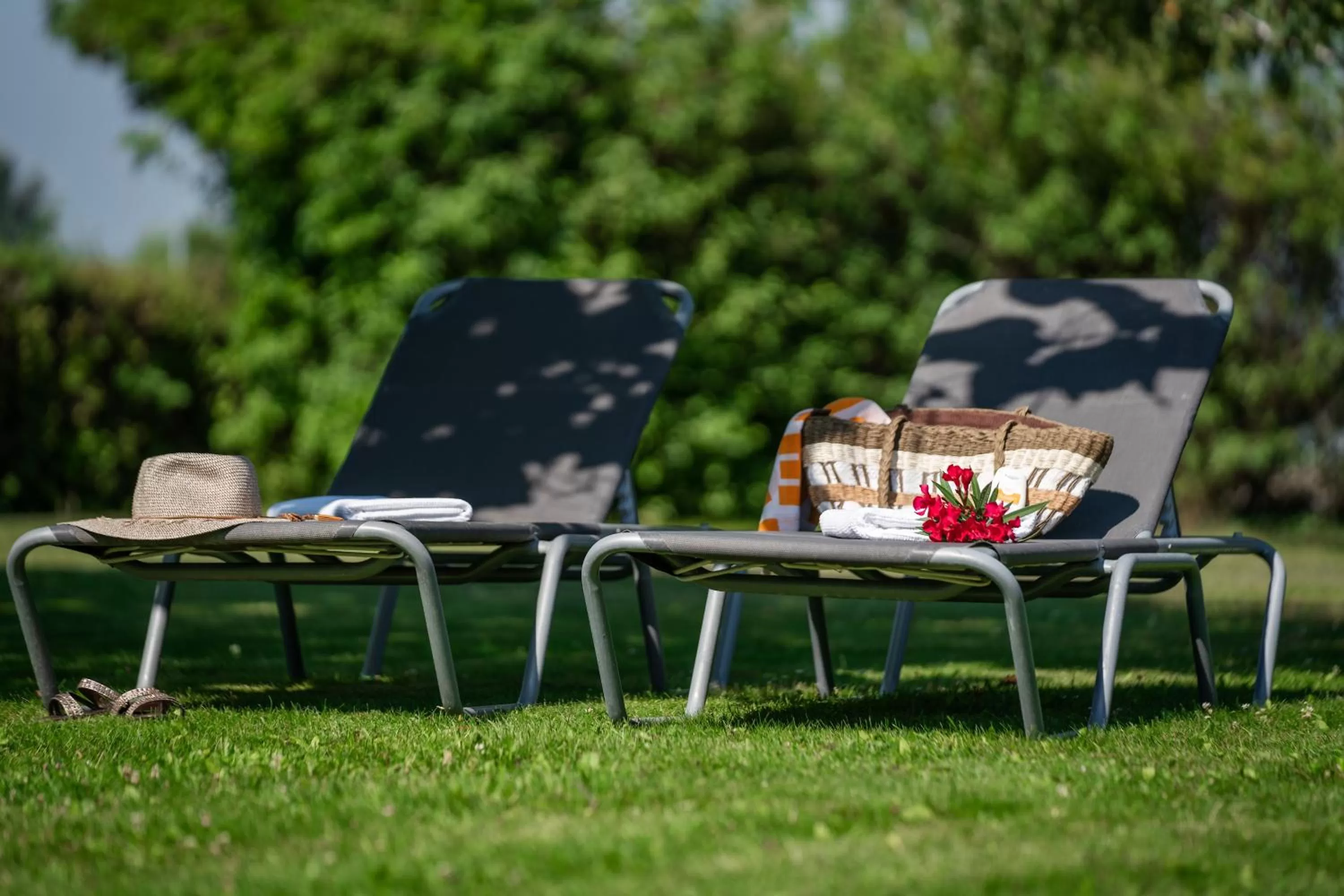 Garden in Hotel Wende