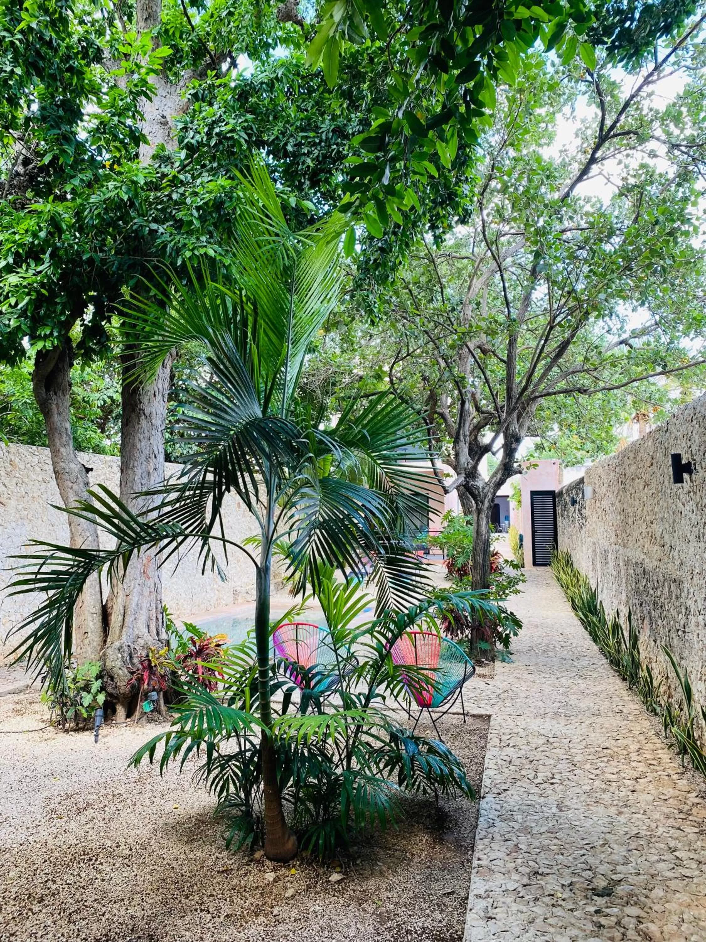 Day in Hotelito YUM KAAX