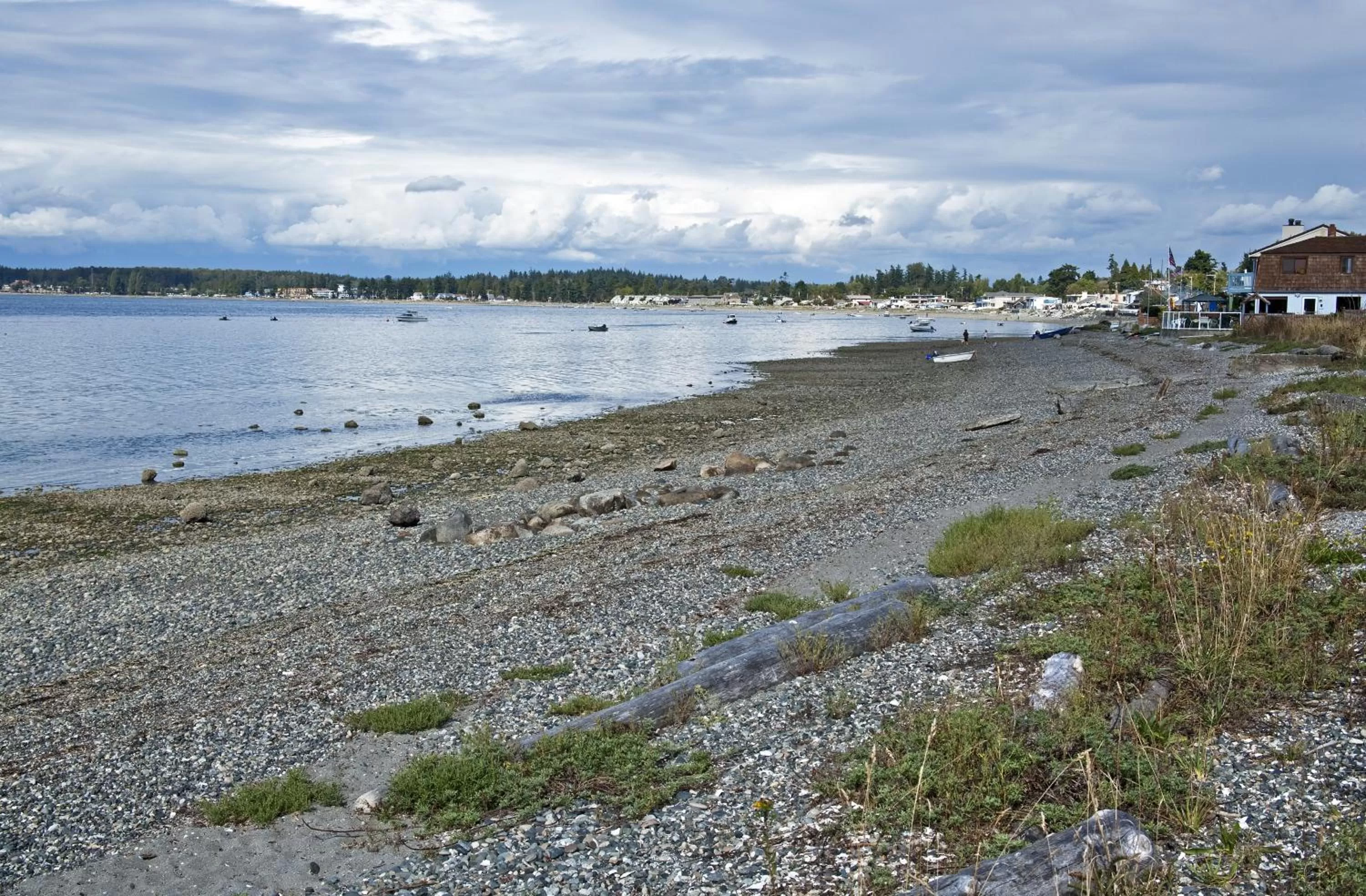 Natural landscape in Raintree's Sandcastle, Birch Bay