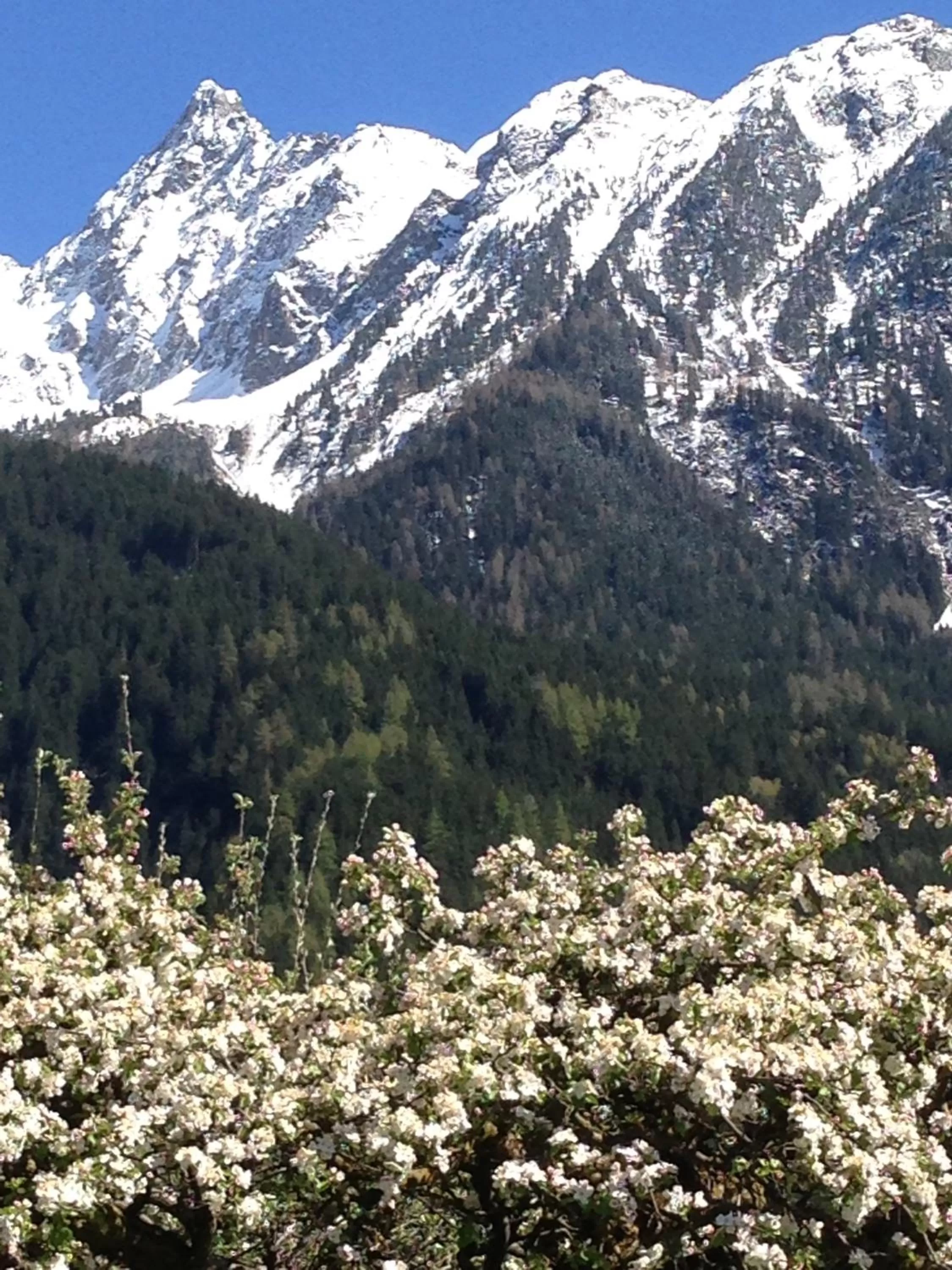 Natural landscape in Gasthof zum Stern