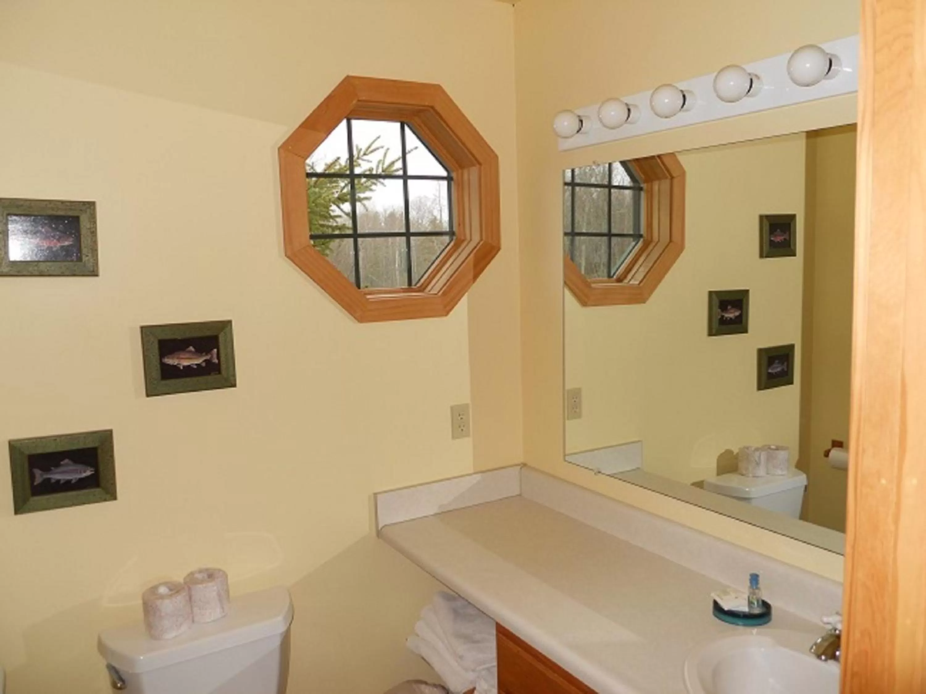 Bathroom in Drummond Island Resort