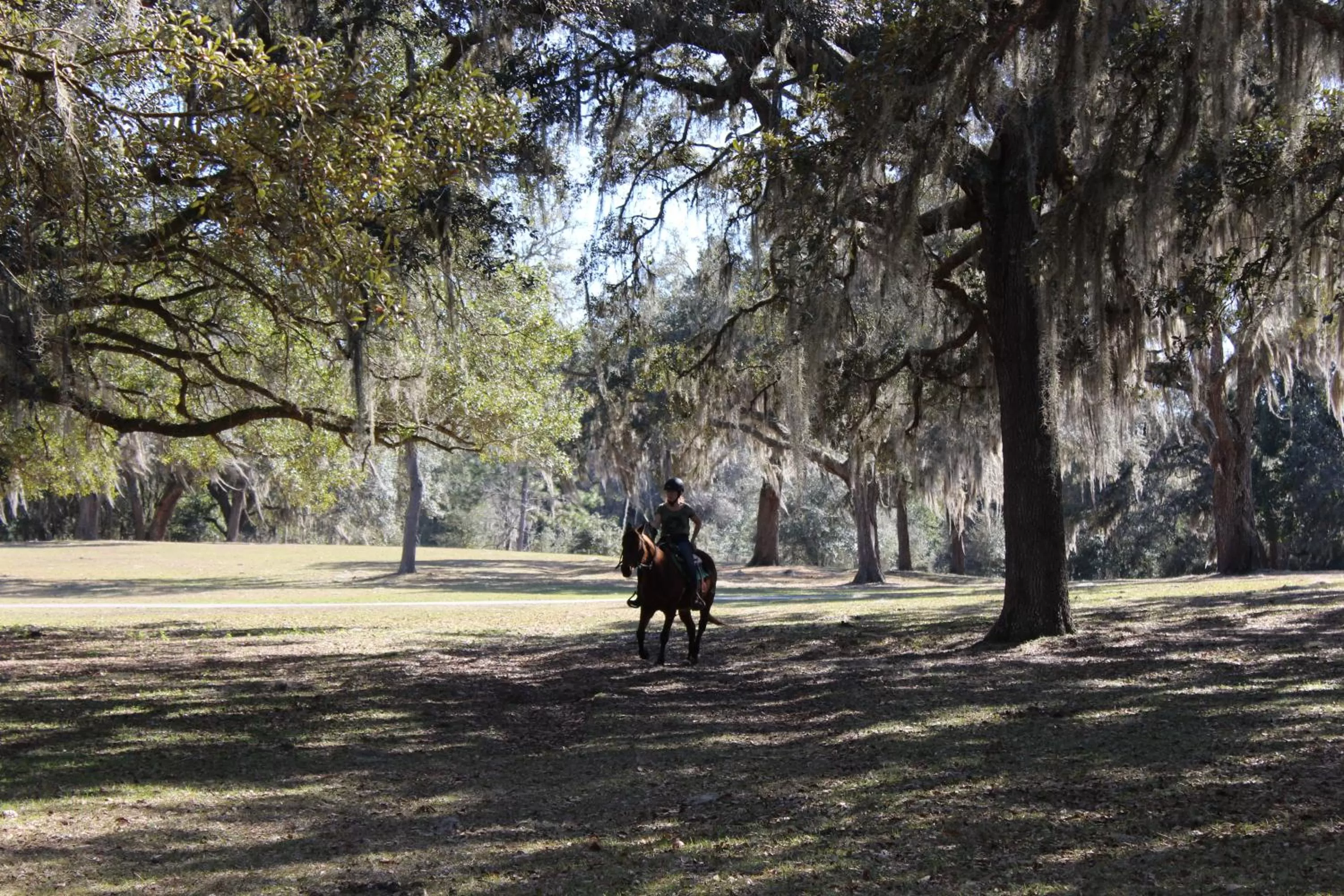 Natural landscape, Horseback Riding in Rock Pointe Ranch