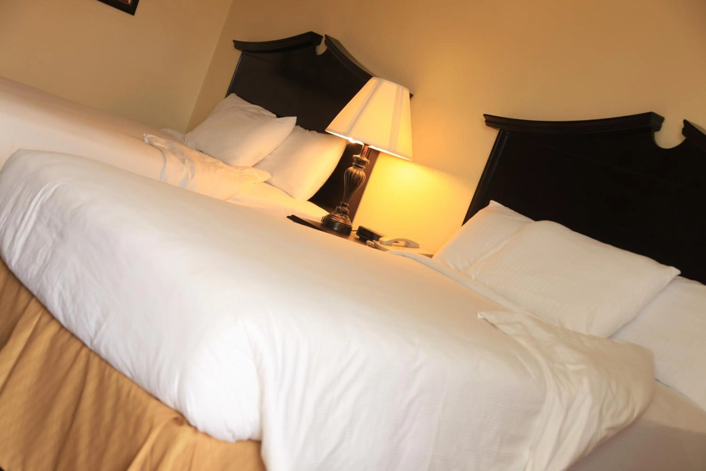 Bed in Plaza Inn Midland