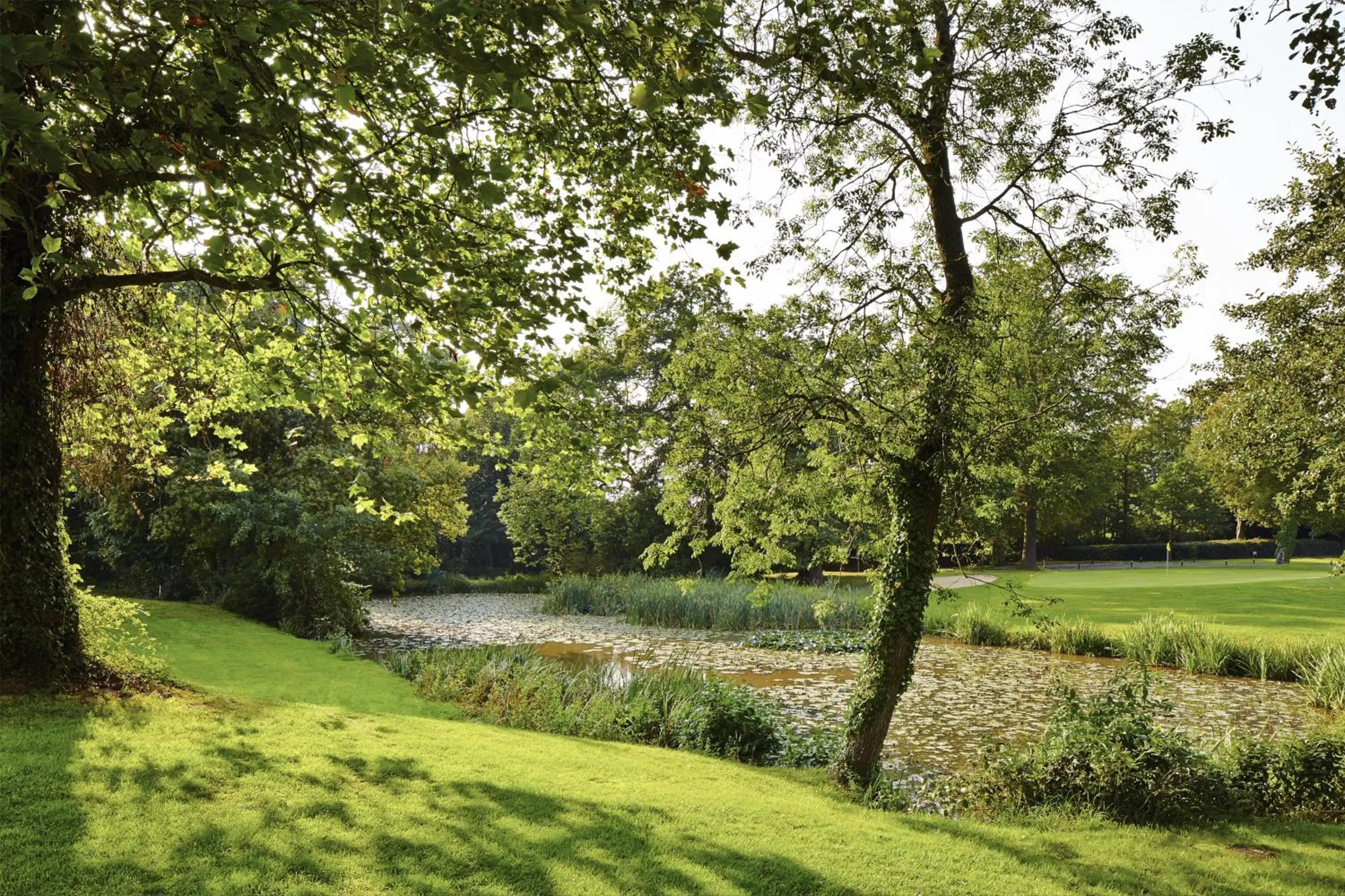 Facade/entrance in Meon Valley Hotel, Golf & Country Club