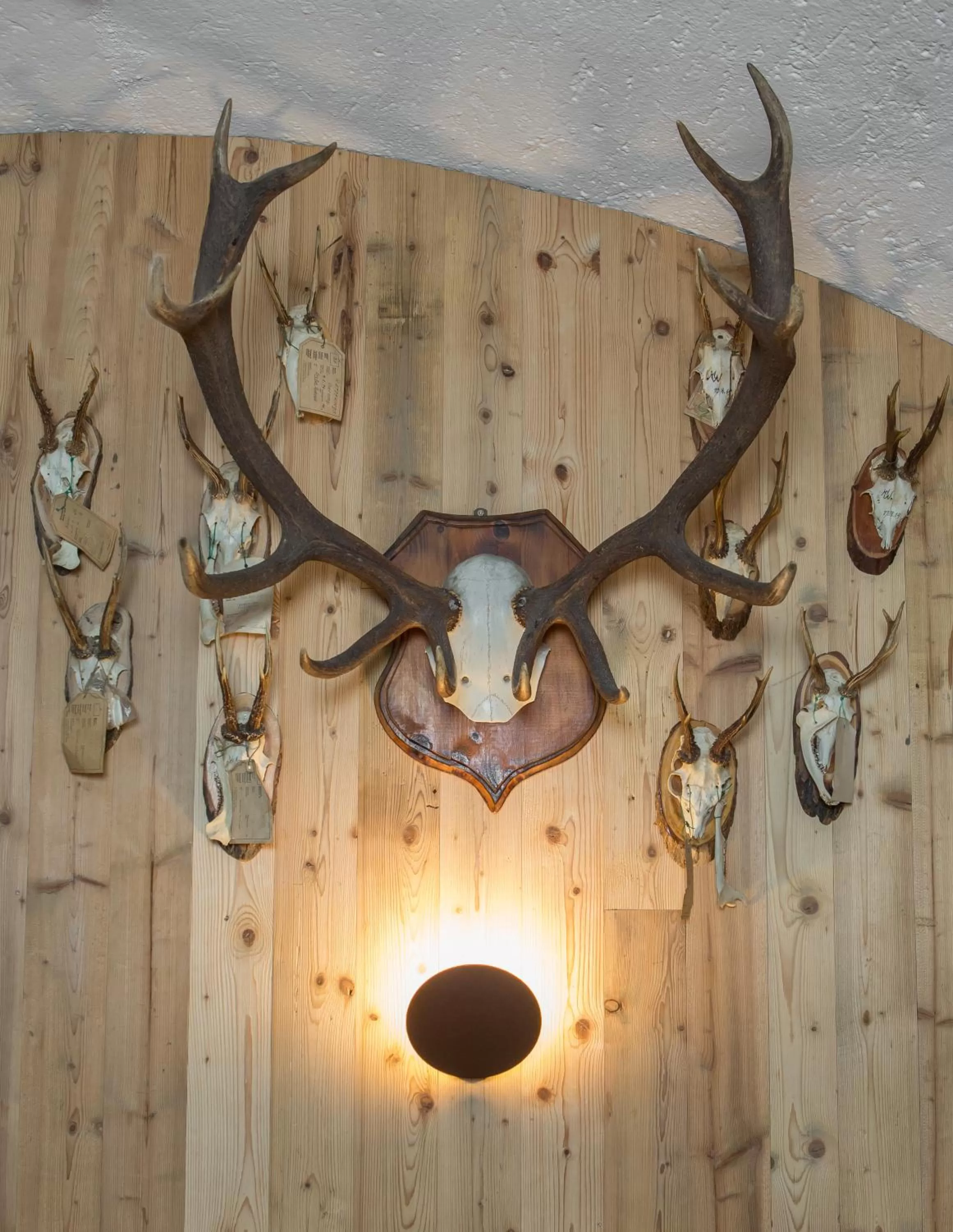 Historic Hotel Ristorante La Stua