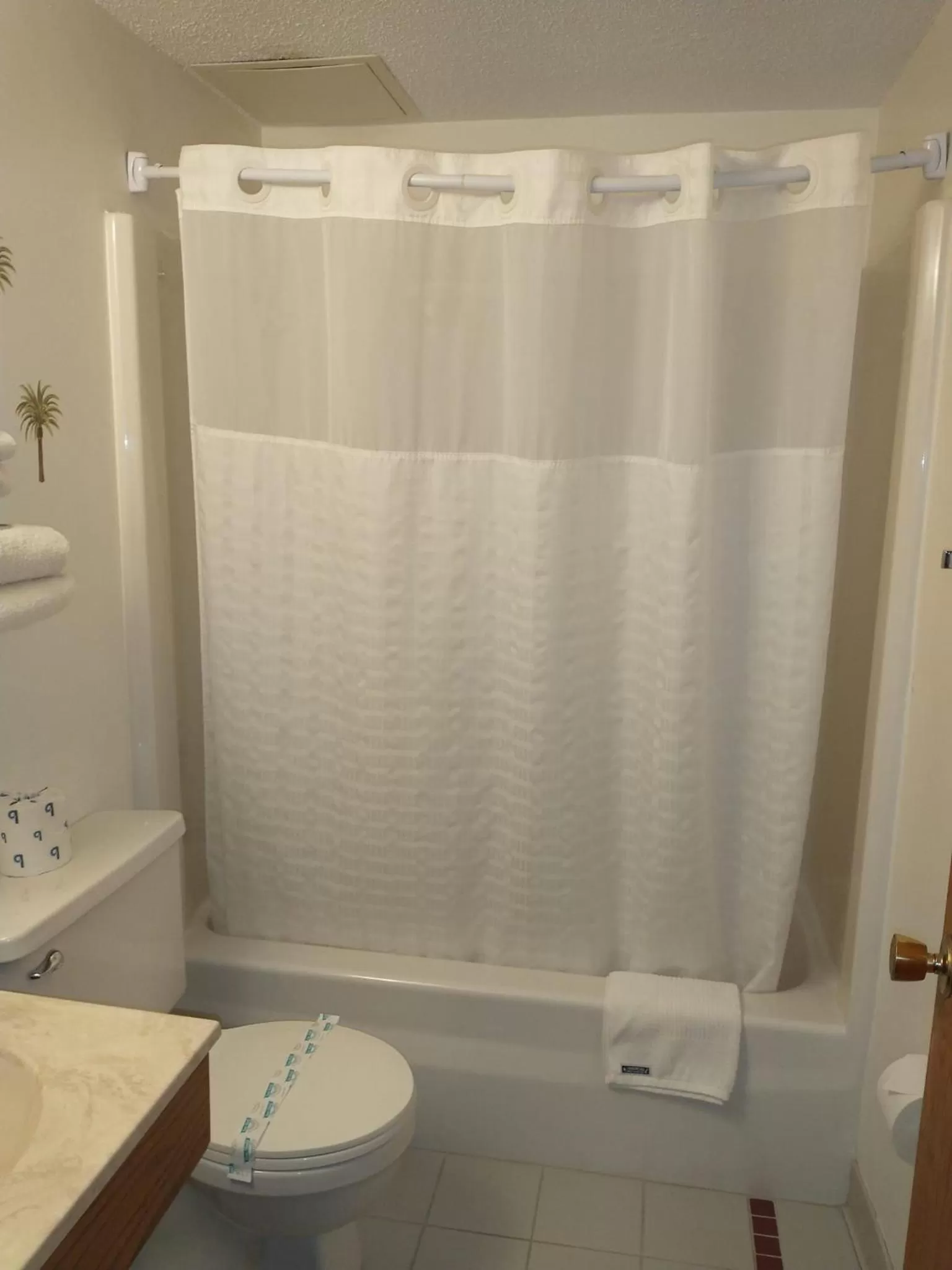 Bathroom in Americas Best Value Inn Sauk Centre