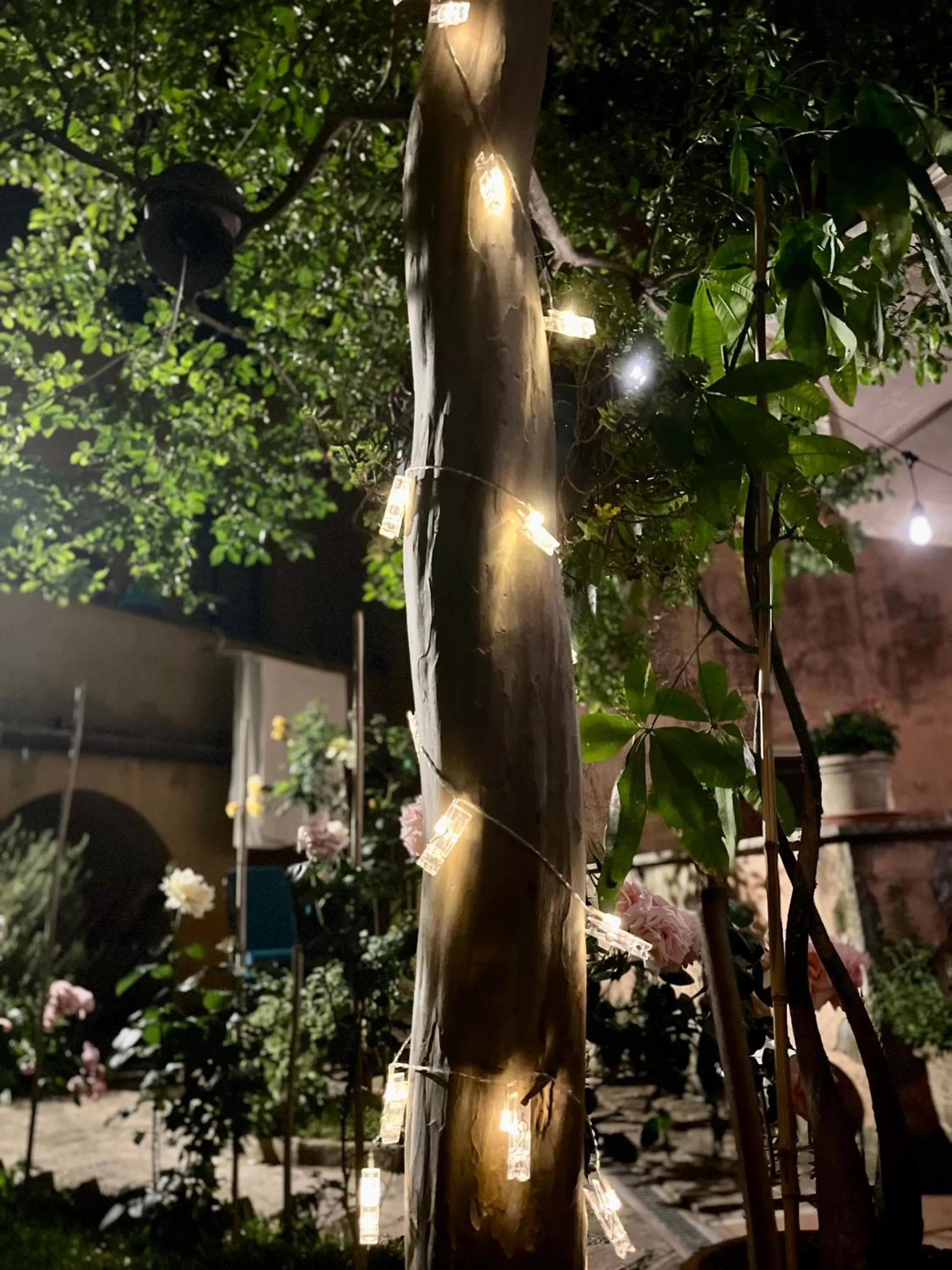 Patio in B&B 'Degli Artisti'