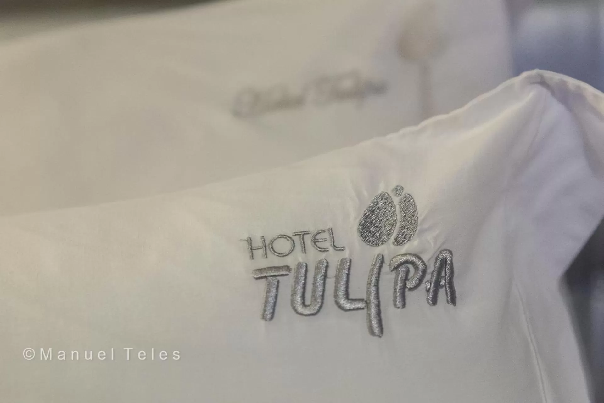Decorative detail in Hotel Tulipa