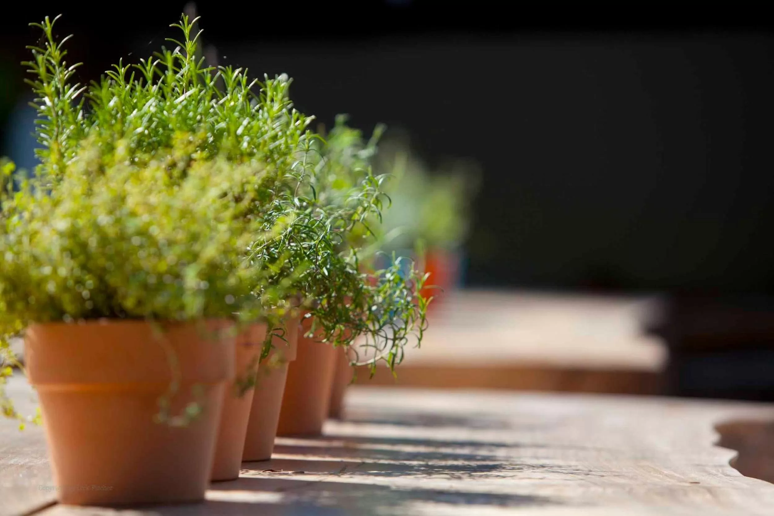 Other in Hotel Hüttenmühle Hillscheid