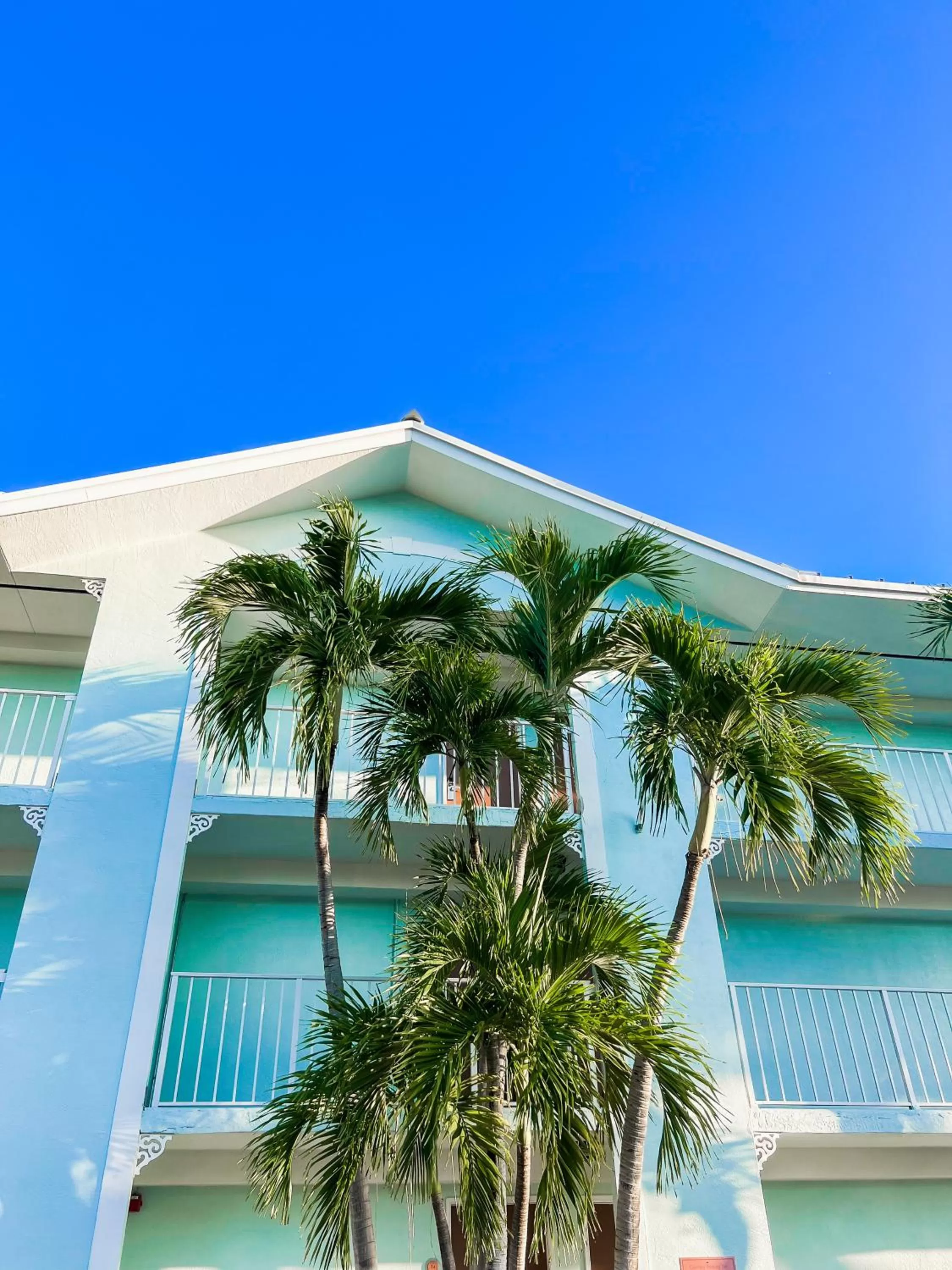 Property building in Bayside Inn Key Largo