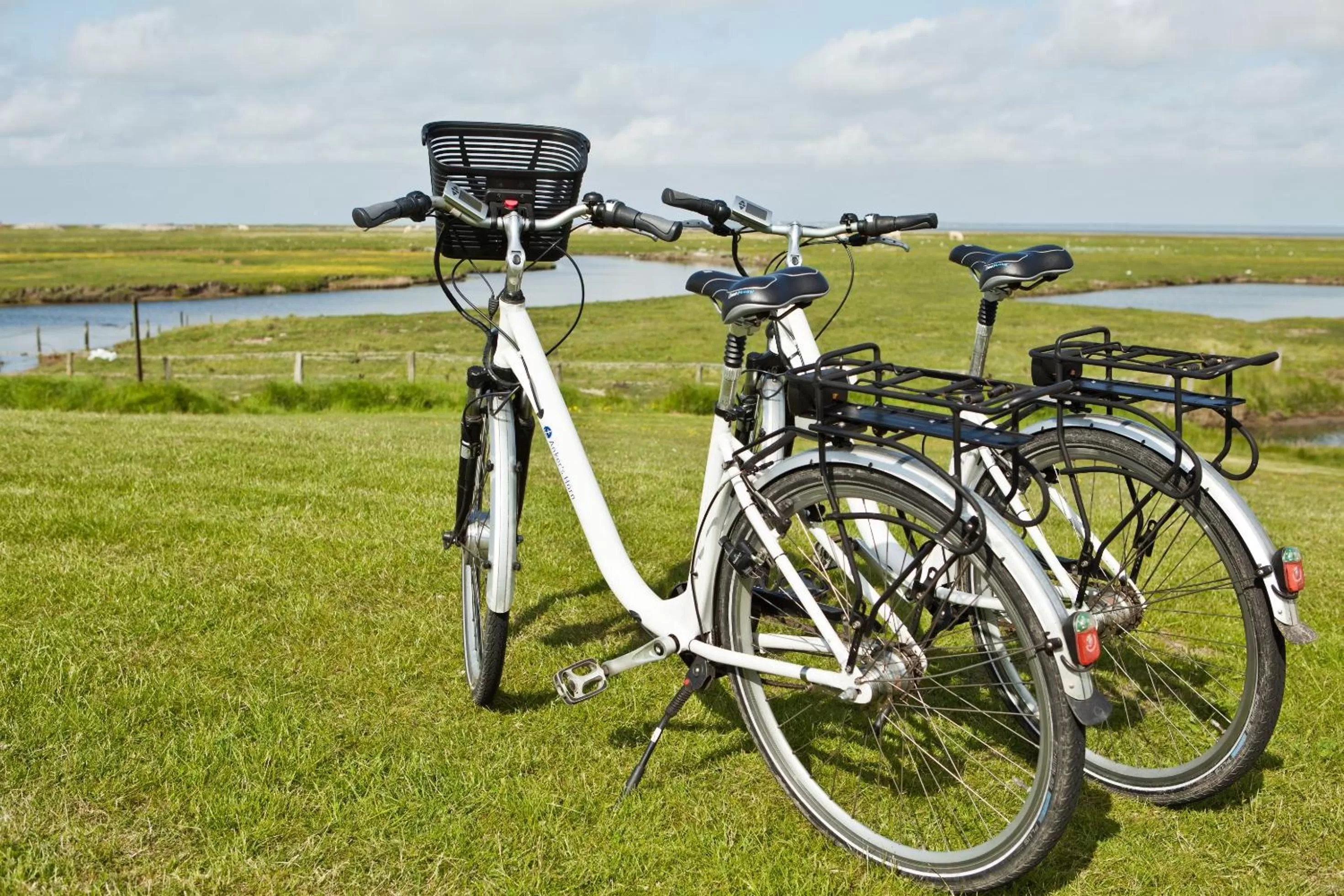 Activities in Anker's Hörn - Hotel & Restaurant auf der Hallig Langeness