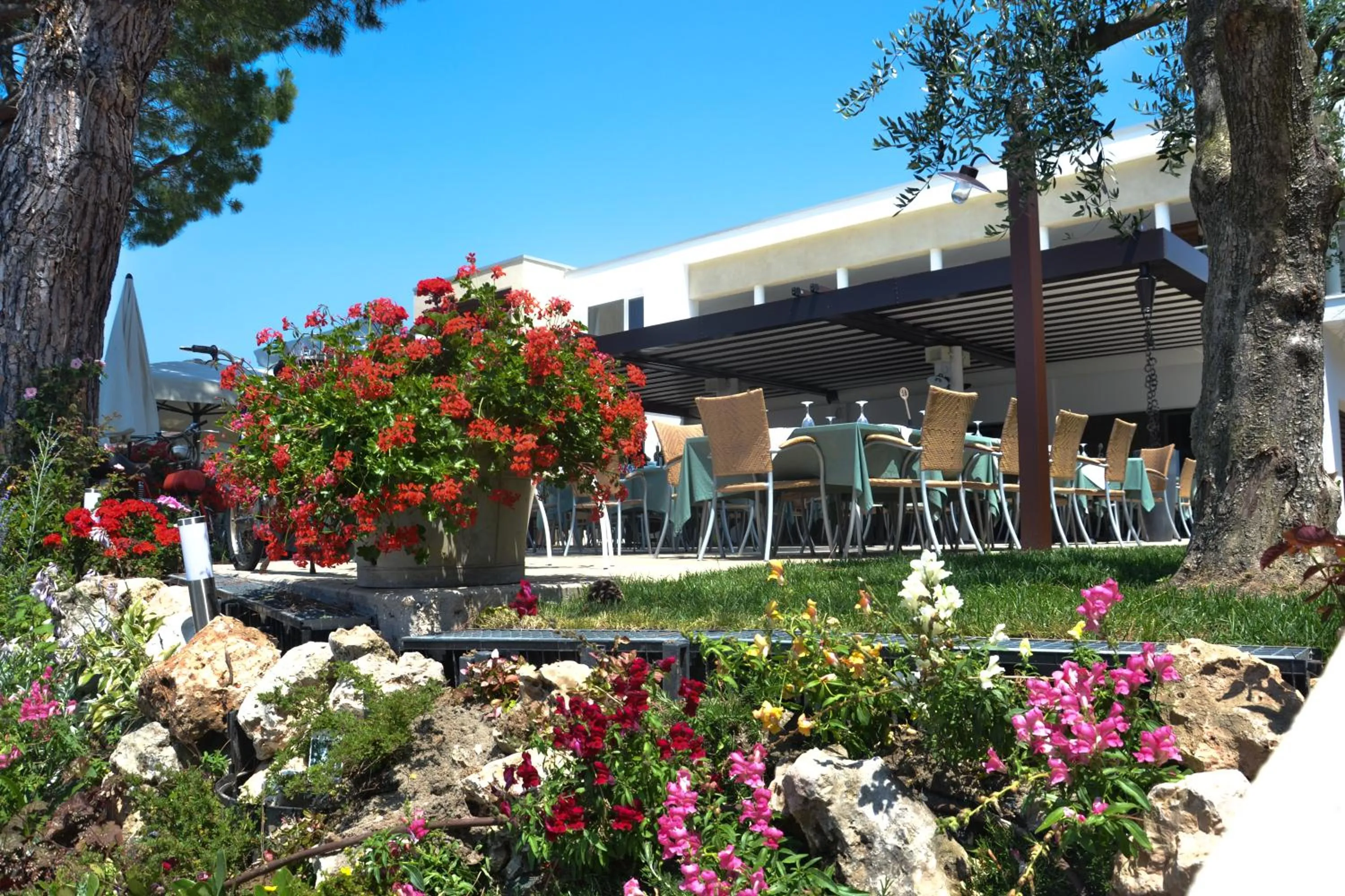 Restaurant/places to eat in Hotel Maximilian