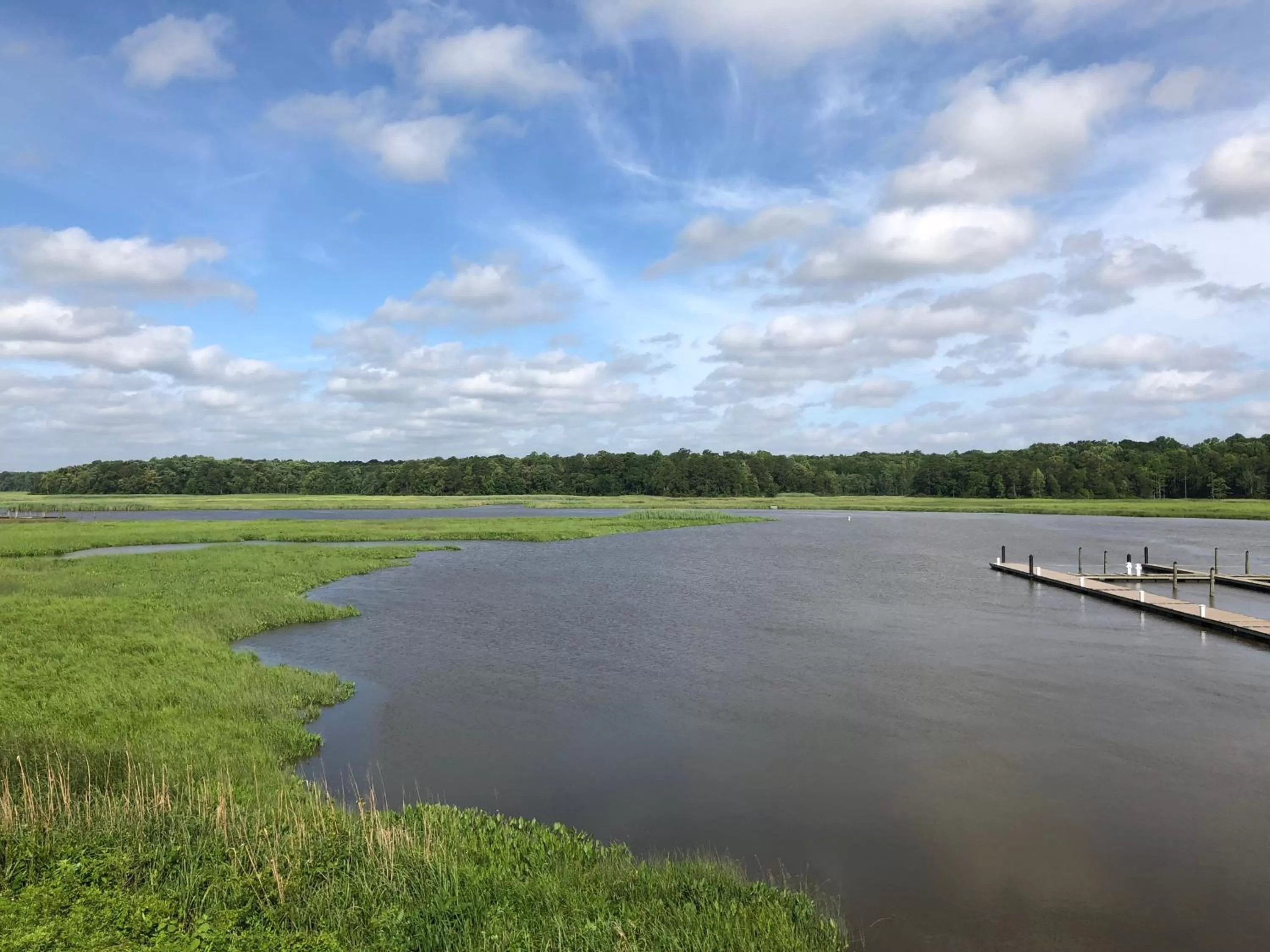 Natural landscape in Surry Seafood Company