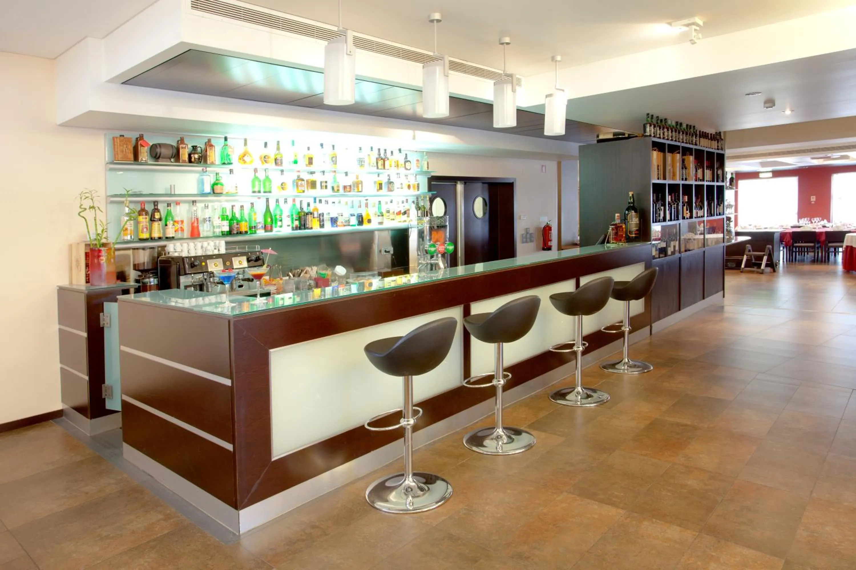 Lounge or bar in Hotel S Pedro - Arouca