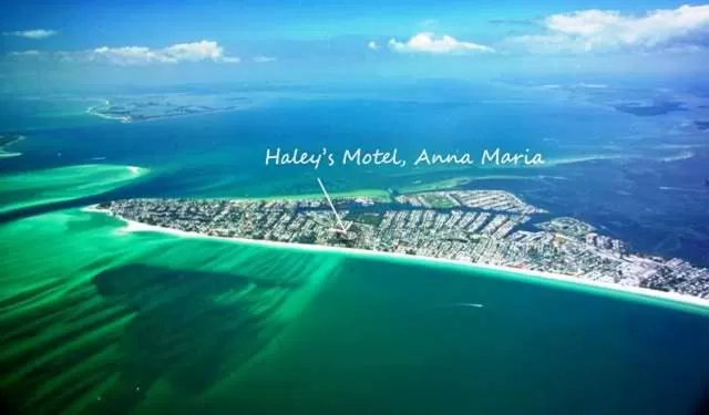 Bird's eye view in Haley's at Anna Maria Island Inn