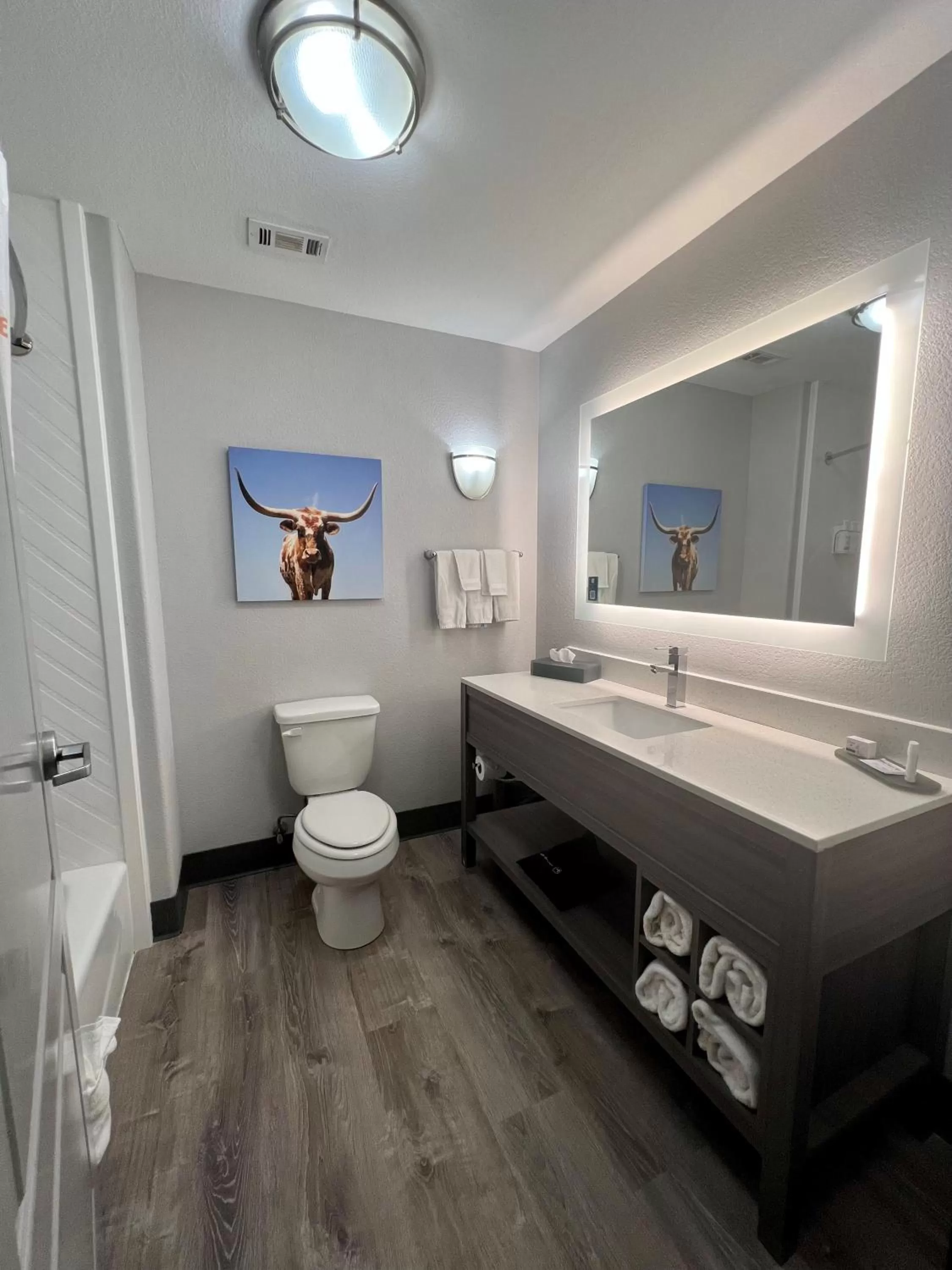 Toilet, Bed in La Quinta by Wyndham Big Spring