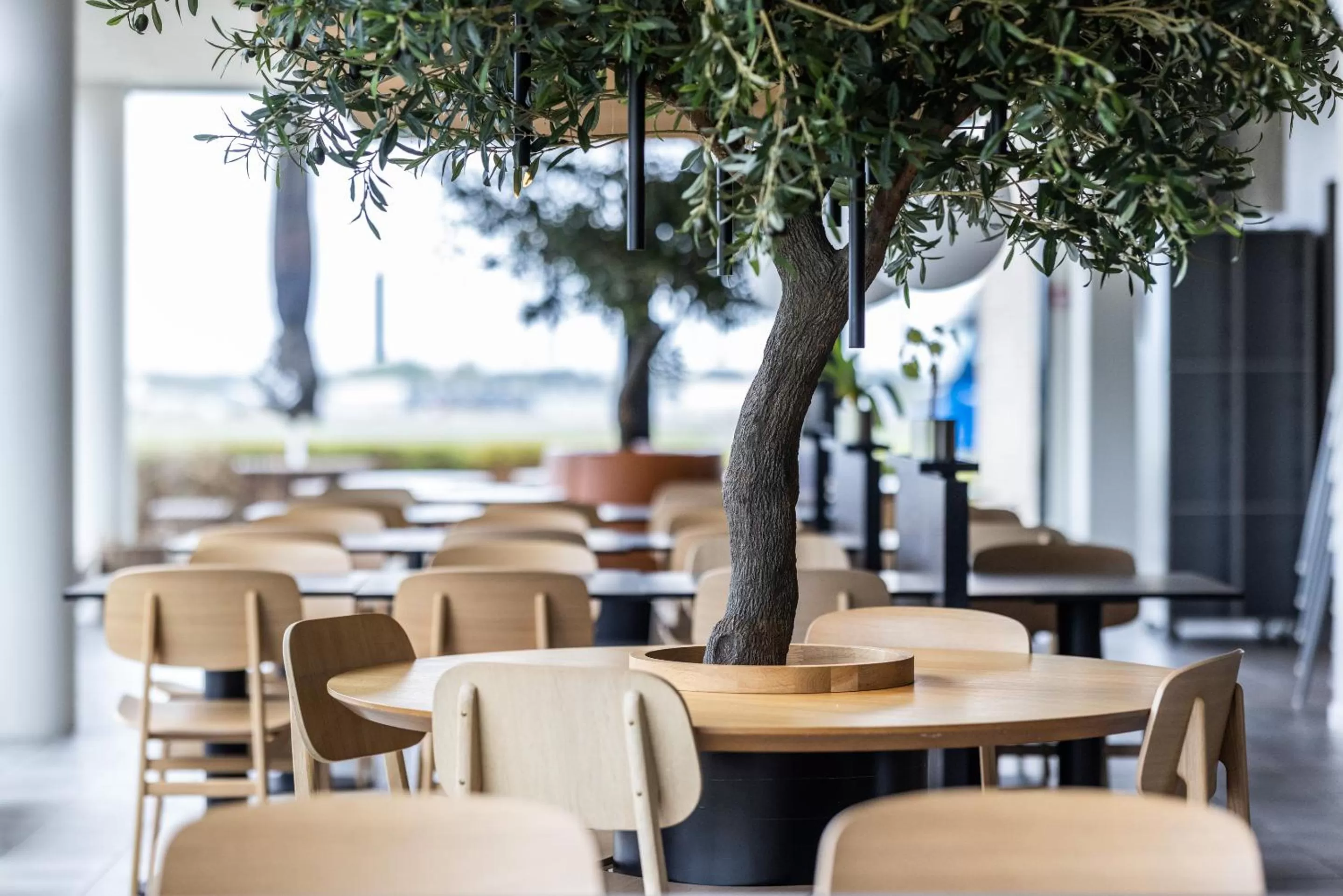 Restaurant/places to eat in Airport Hotel, Billund