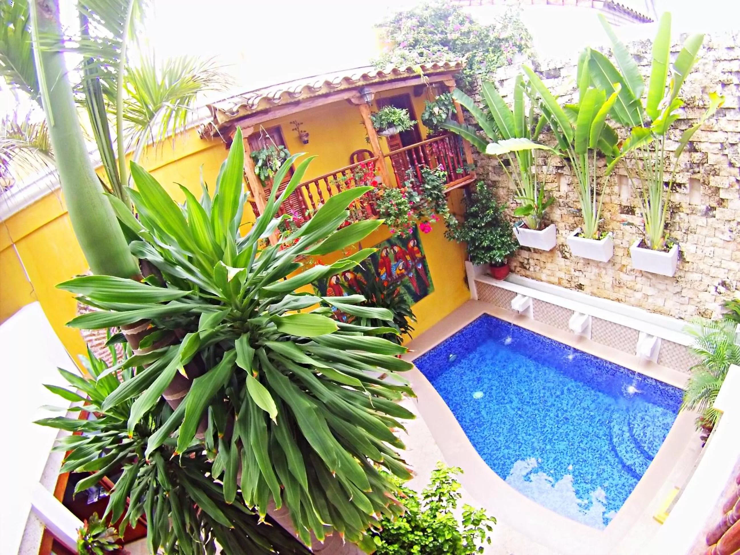 Natural landscape, Pool View in Hotel Casa Gloria Boutique