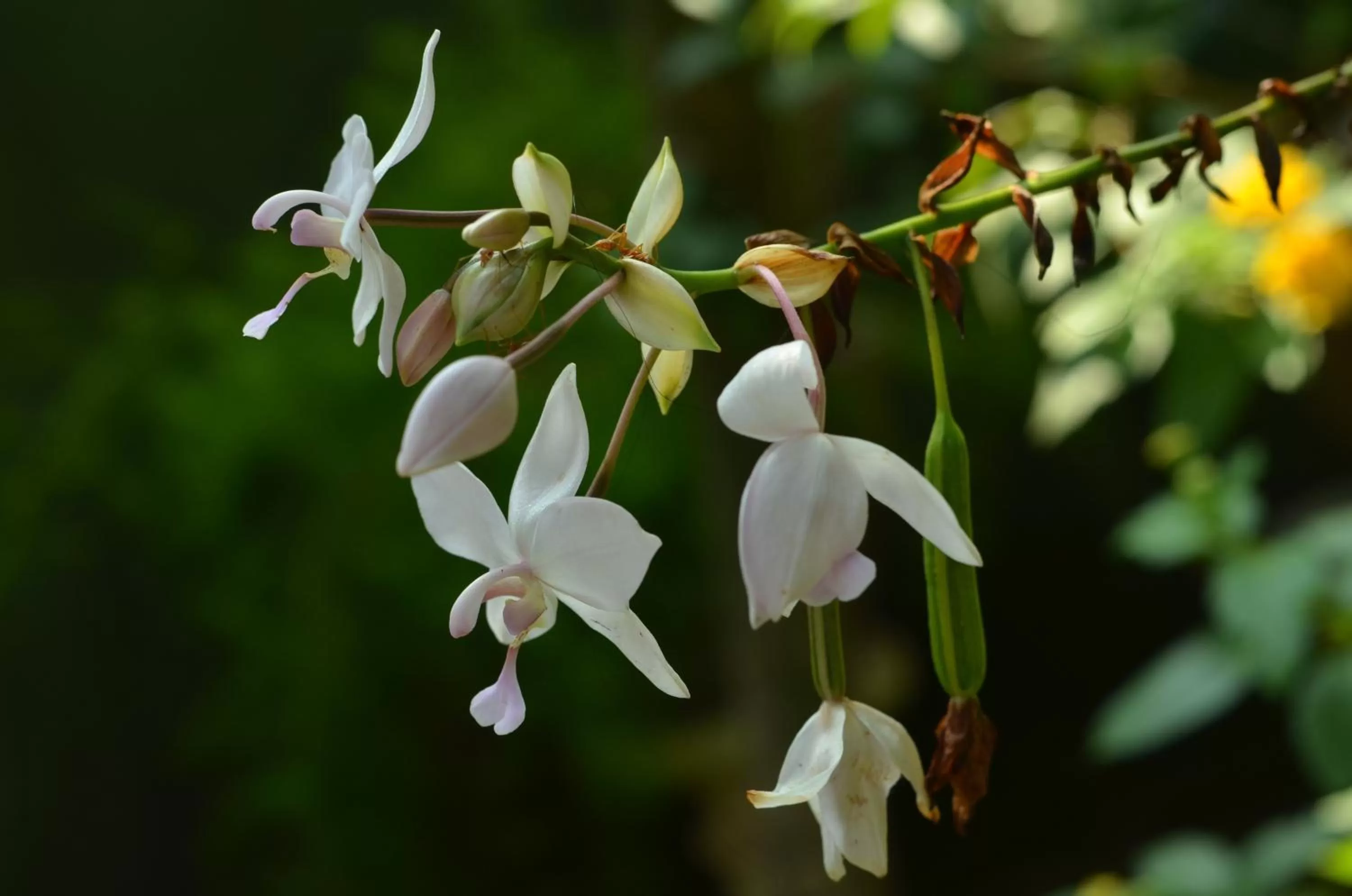Nearby landmark in Otha Shy Airport Transit Hotel