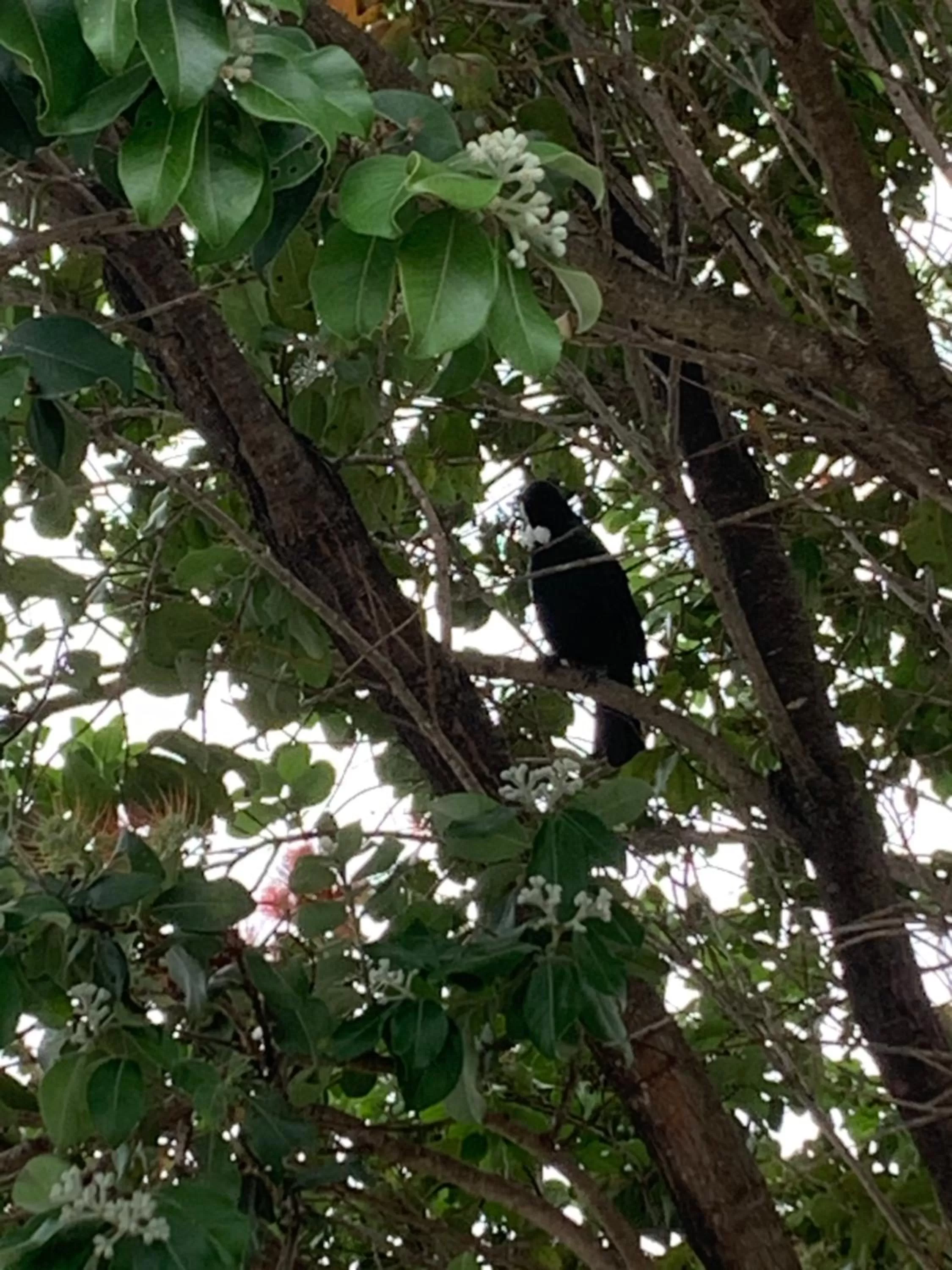 Natural landscape in The Oceanside Motel