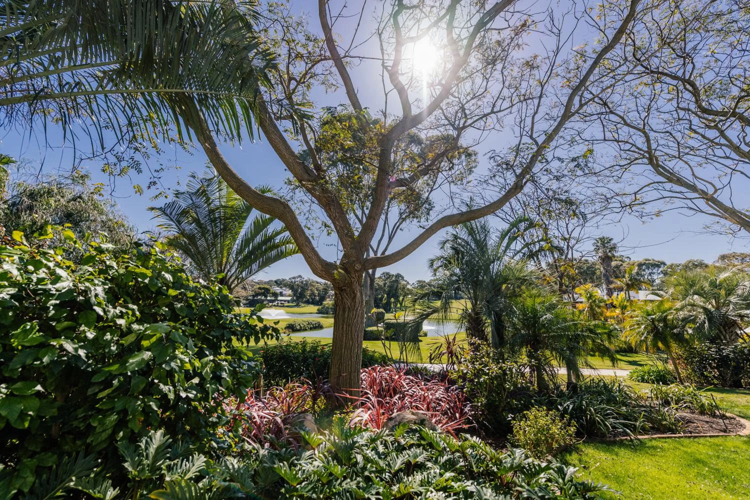View (from property/room) in Joondalup Resort