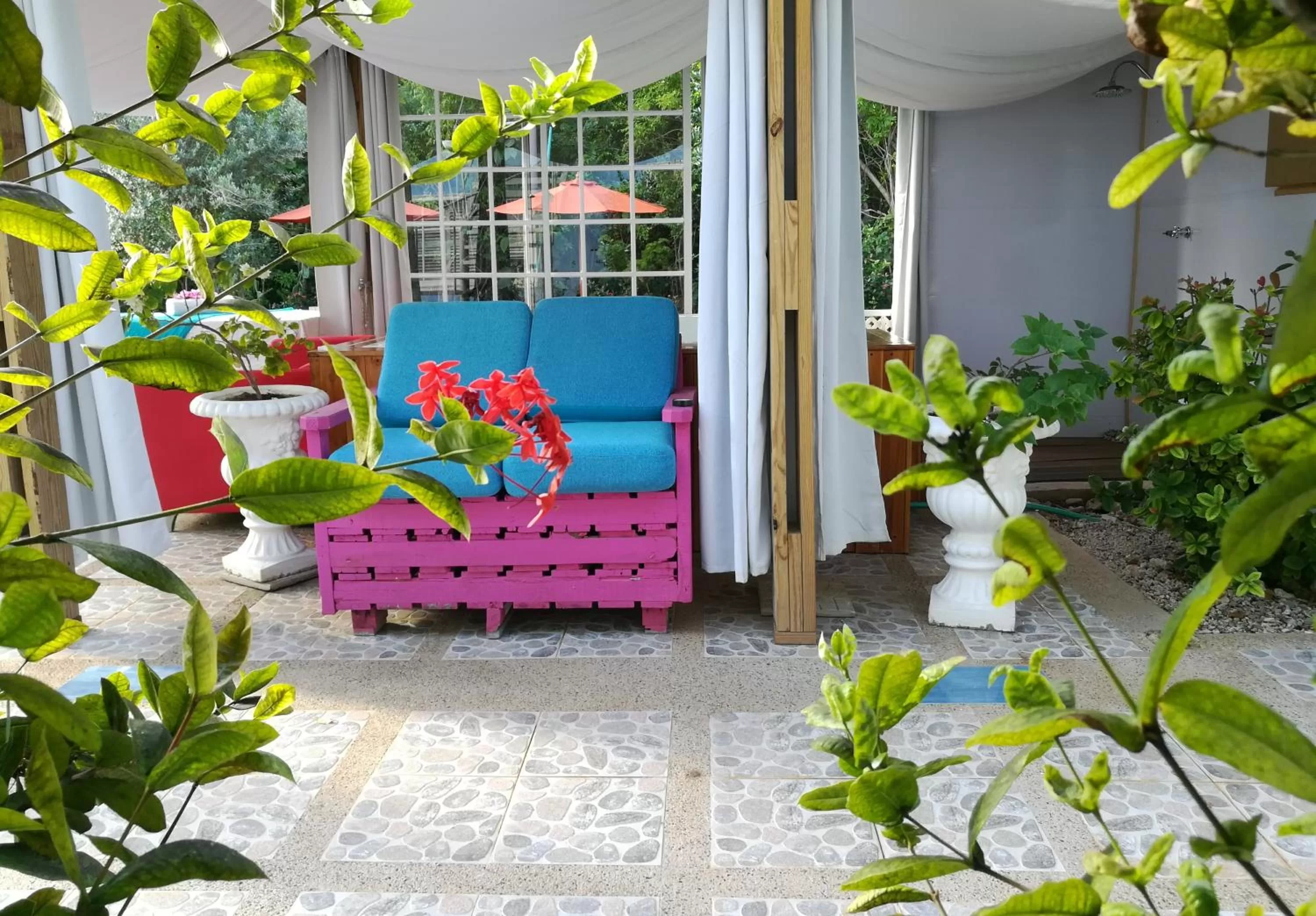 Patio in Casa Royal Palm Inn