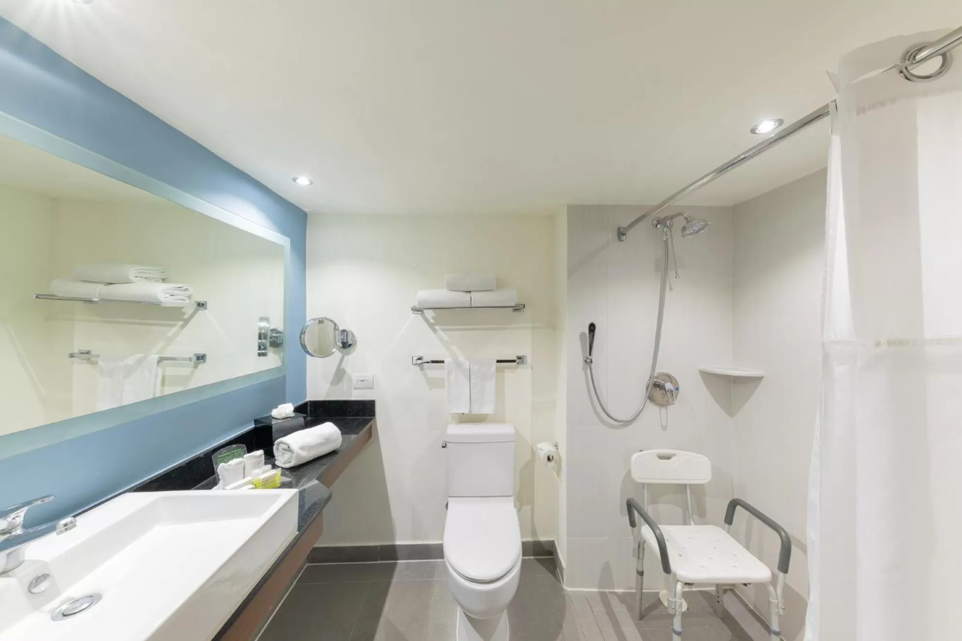 Bathroom in Holiday Inn Guadalajara Expo Plaza del Sol by IHG