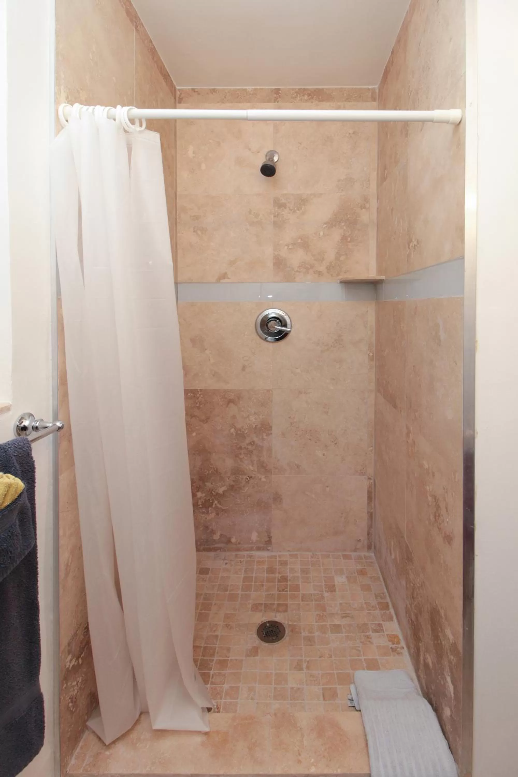 Other in The Dolphin Hollywood