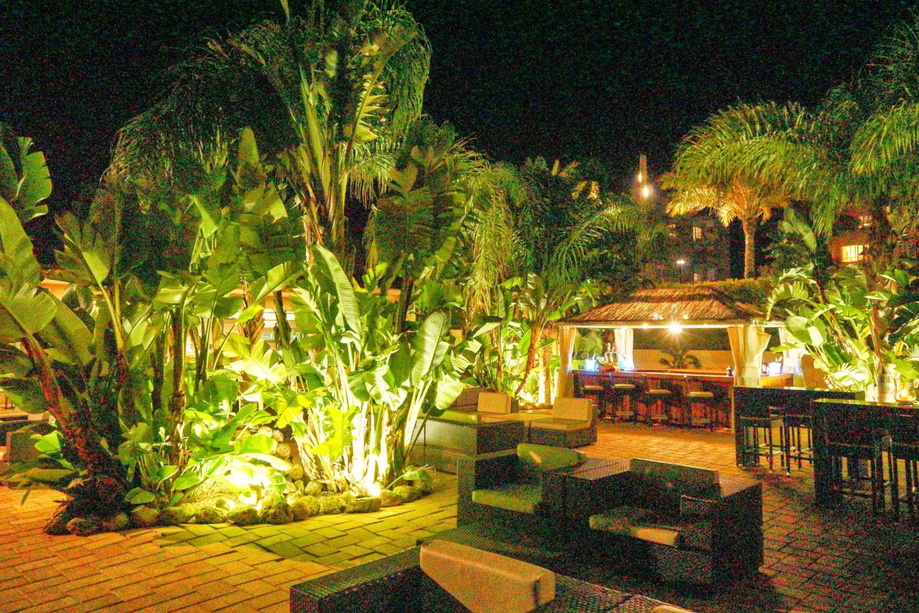 Lounge or bar in Senator Águilas