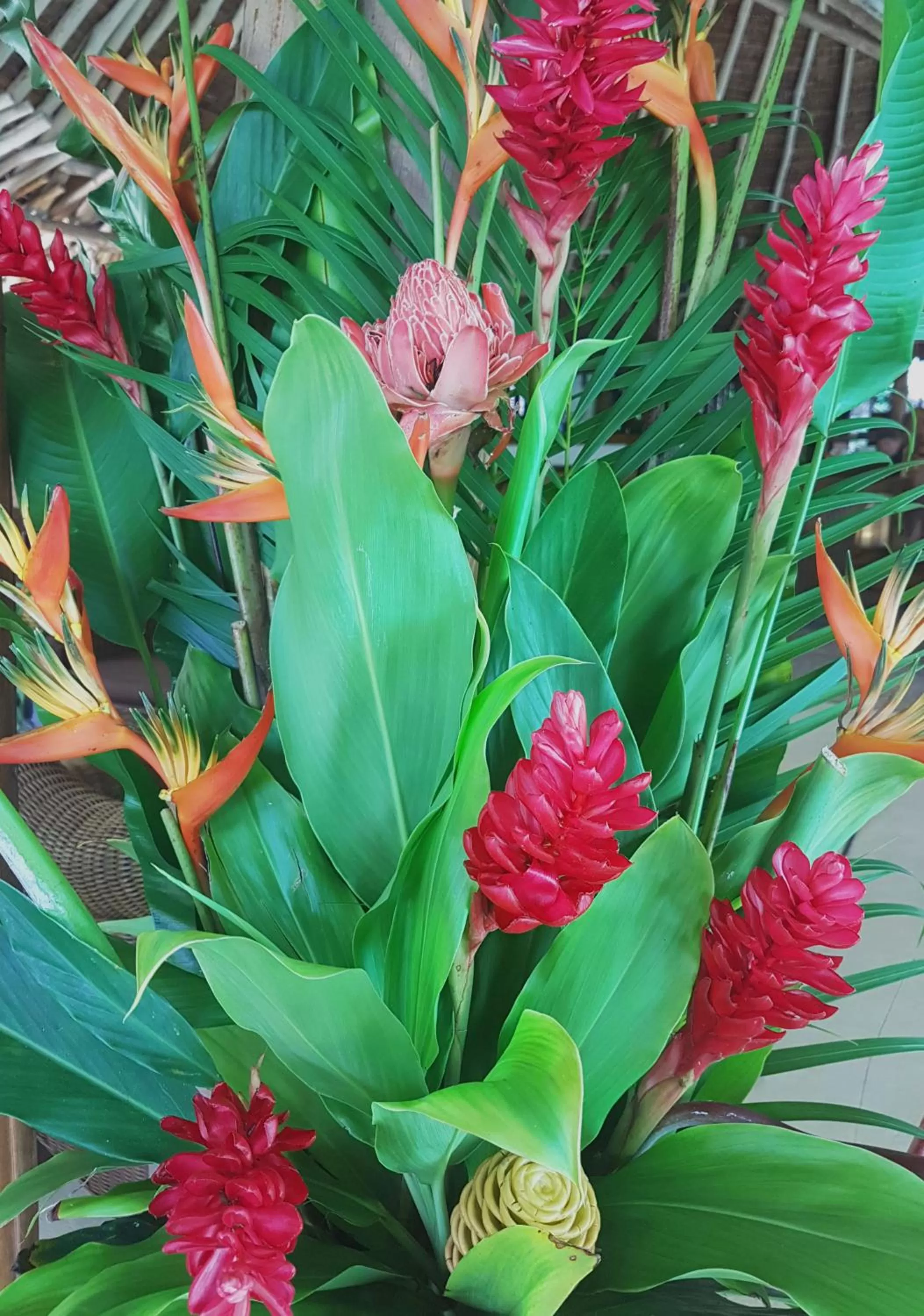 Restaurant/places to eat in Paradise Cove Resort