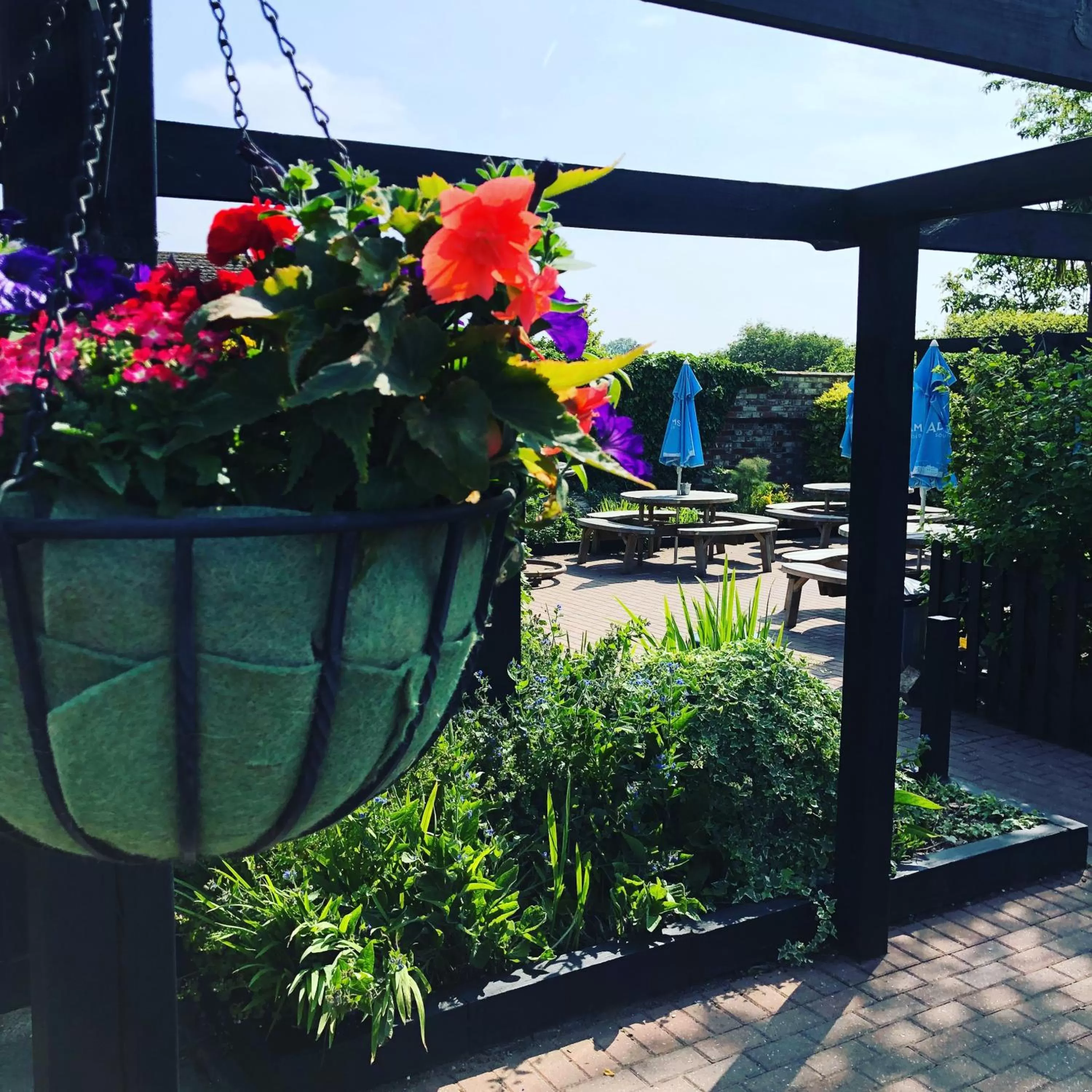 Garden in The Cherry Tree